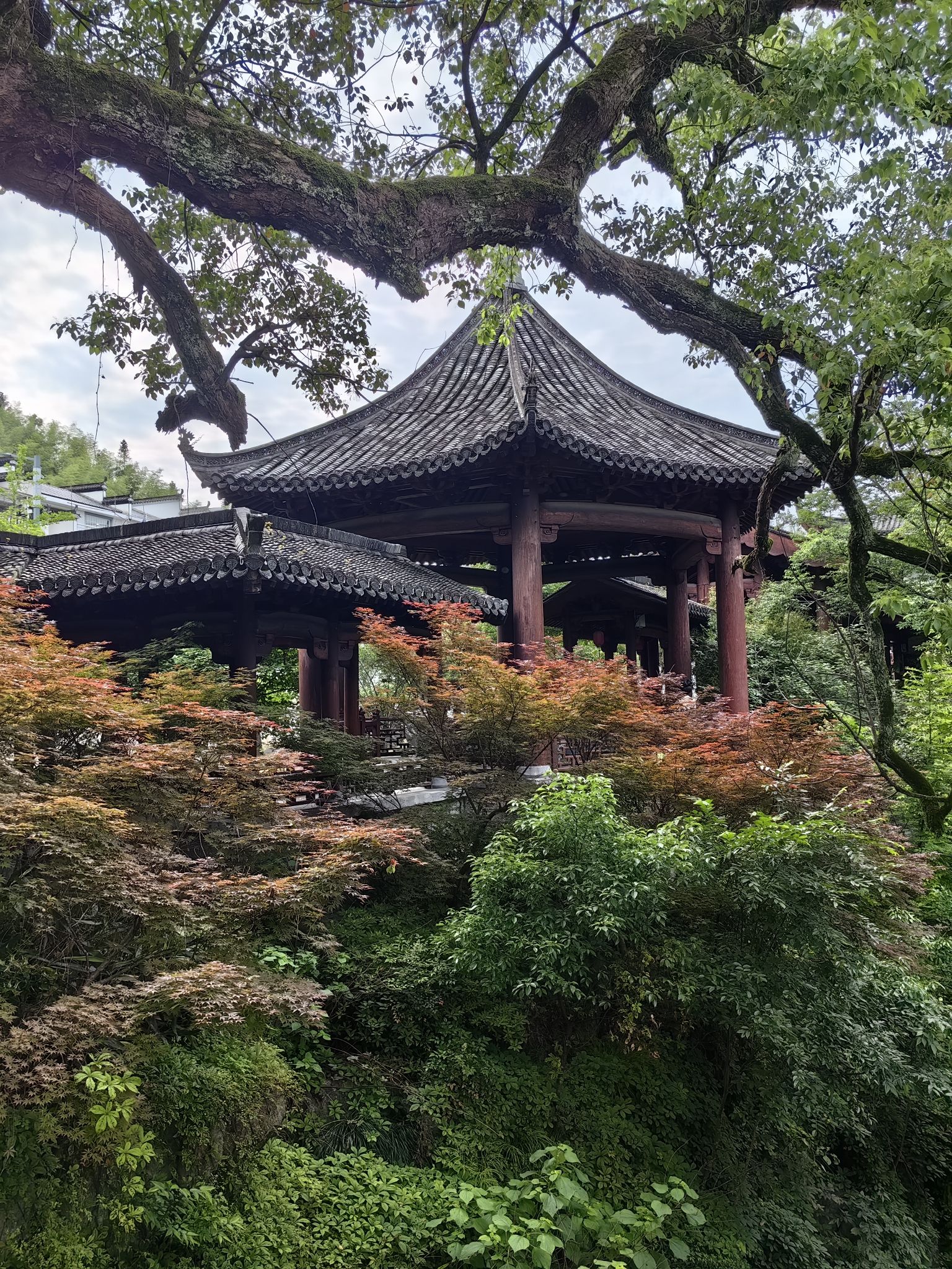 熹园景区旅行图片 2