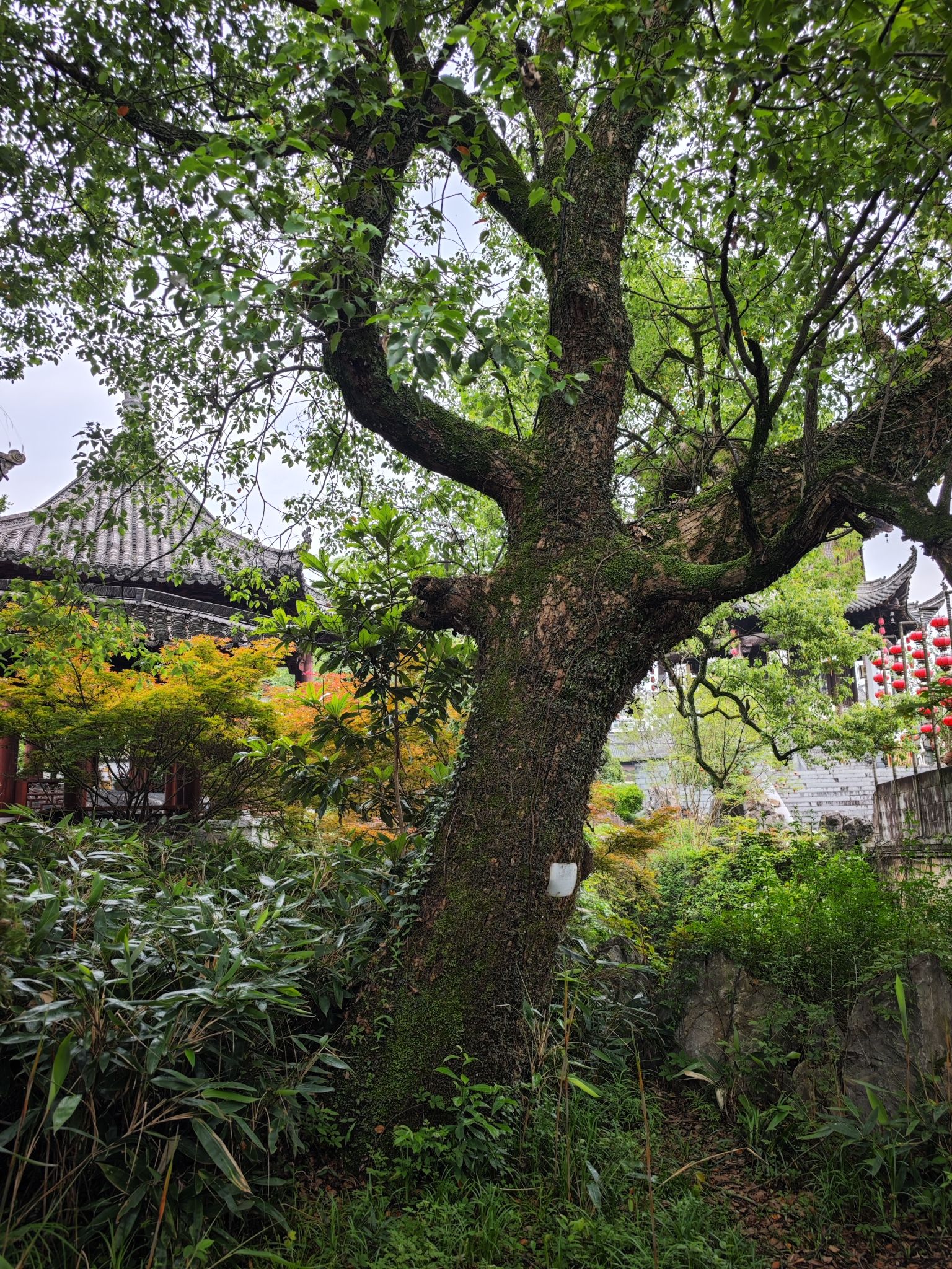 熹园景区旅行图片 3