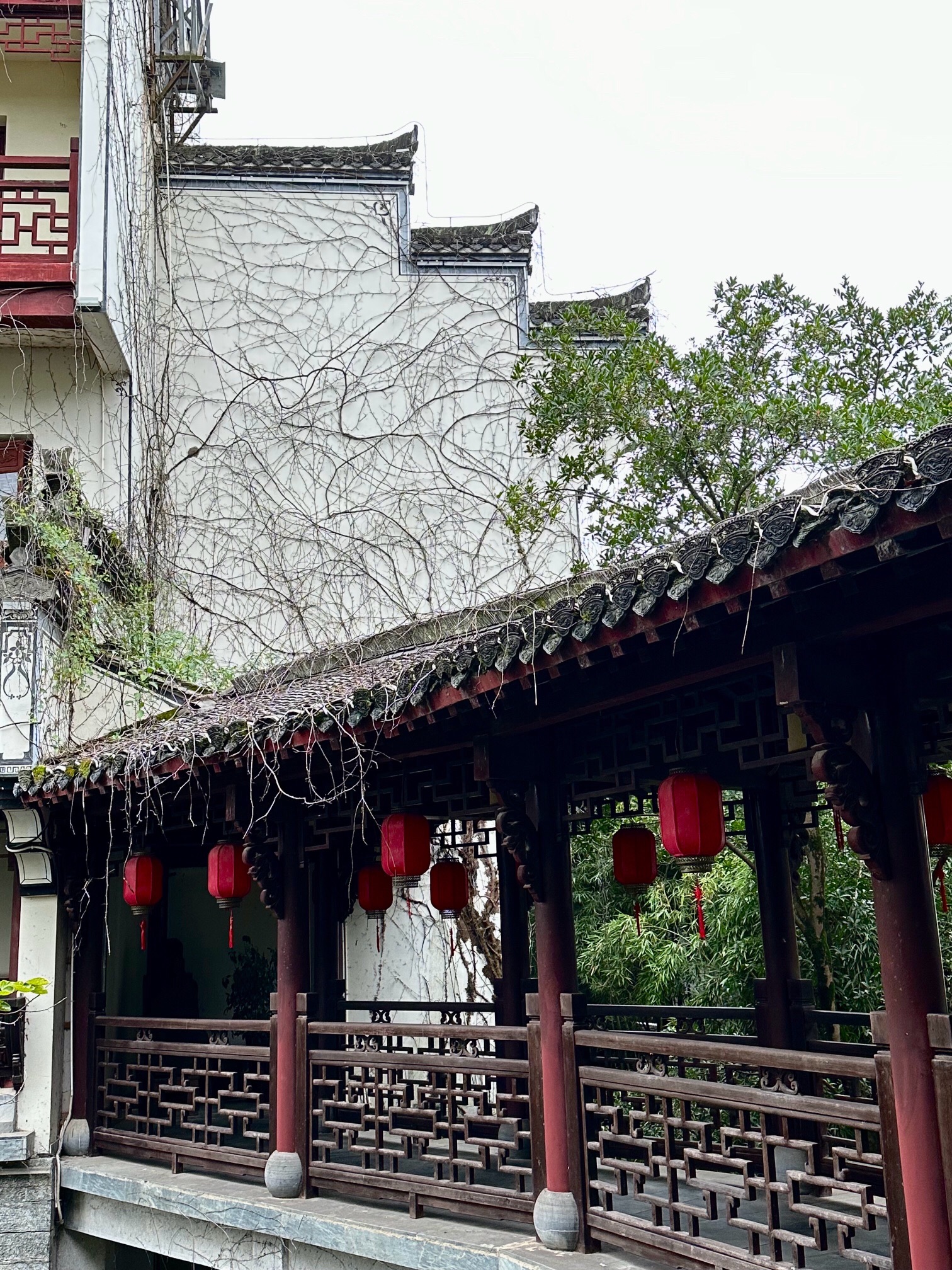 熹园景区旅行图片 1