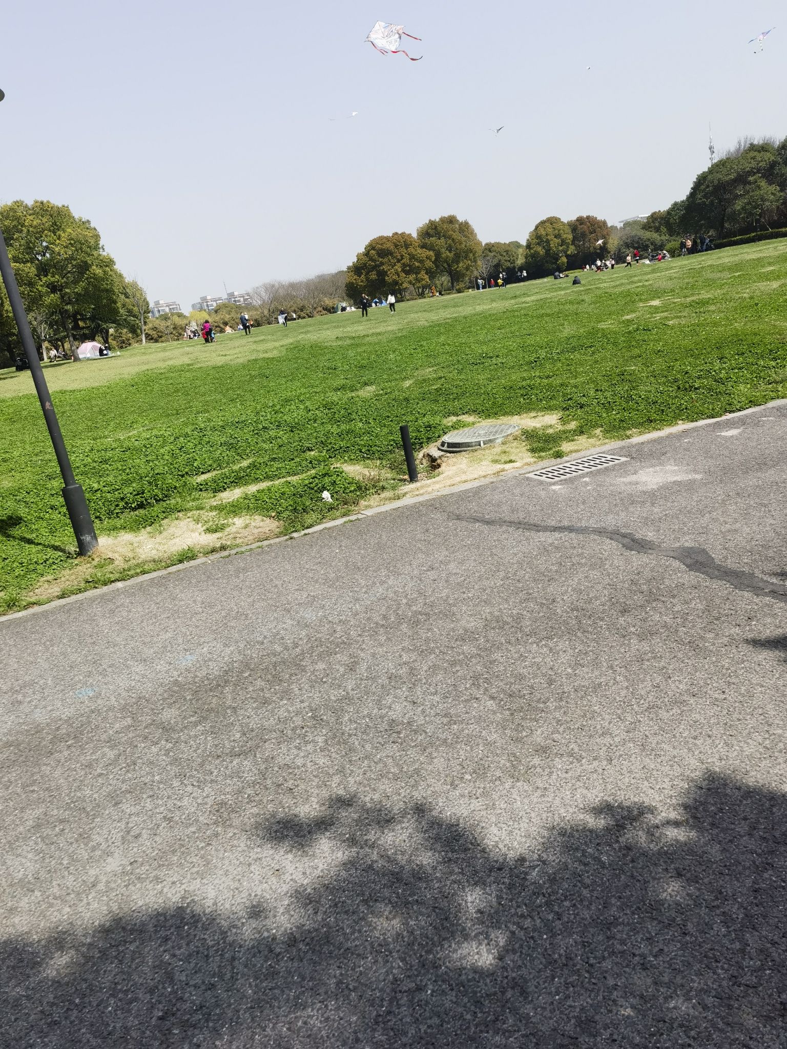 东舜湖公园旅行图片 3