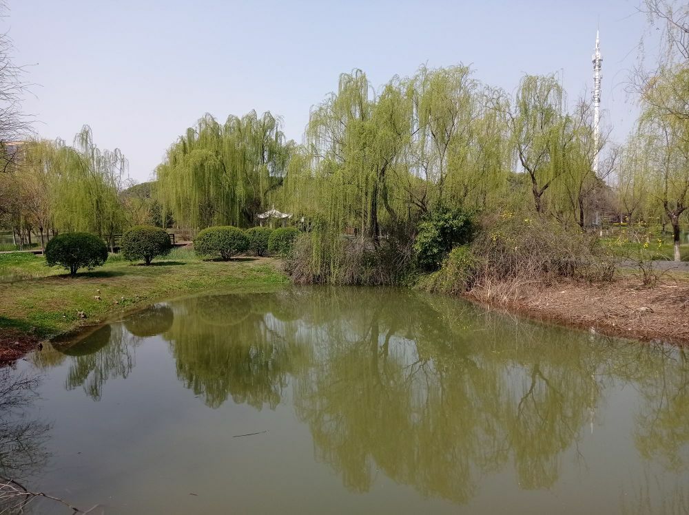 东舜湖公园旅行图片 3