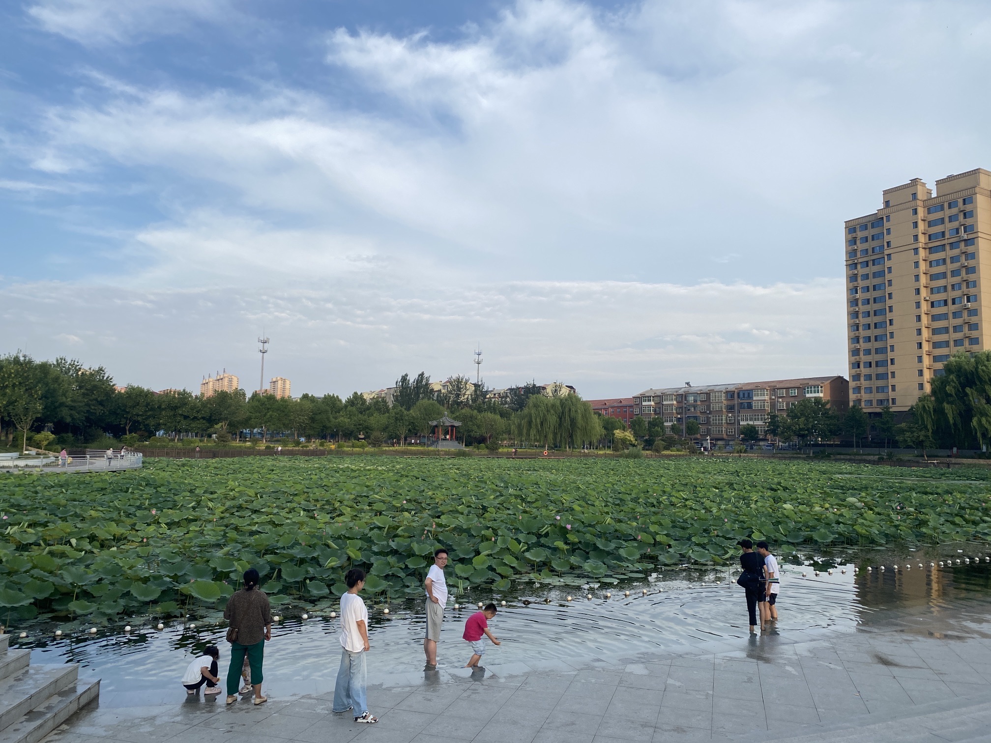 人民公园旅行图片 3