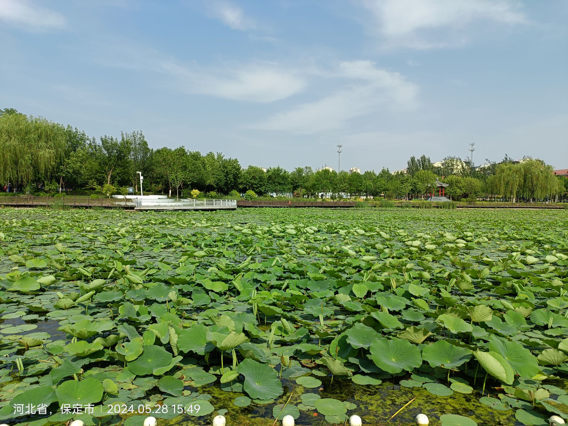 人民公园旅行图片 3