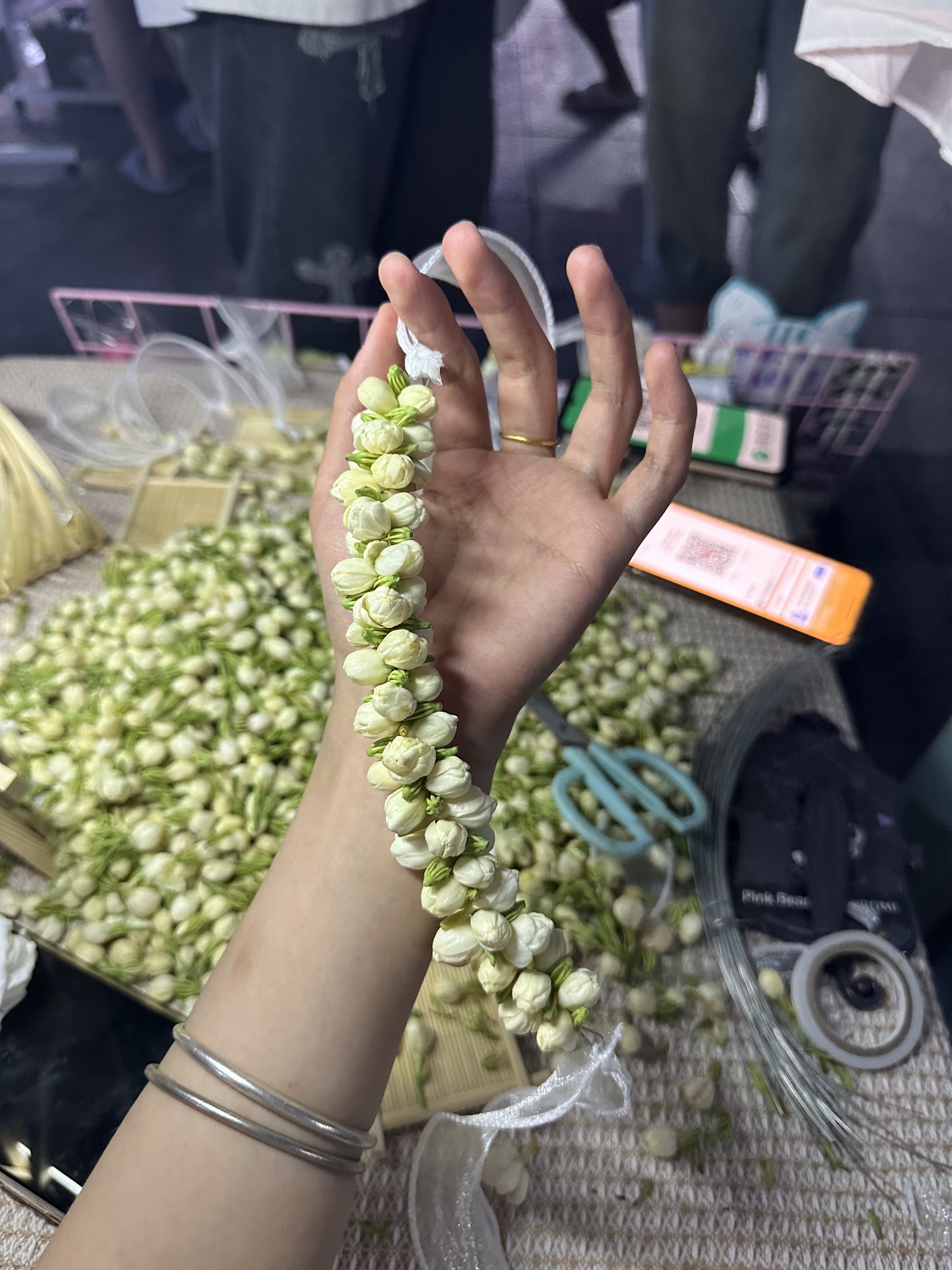 人民公园旅行图片 1