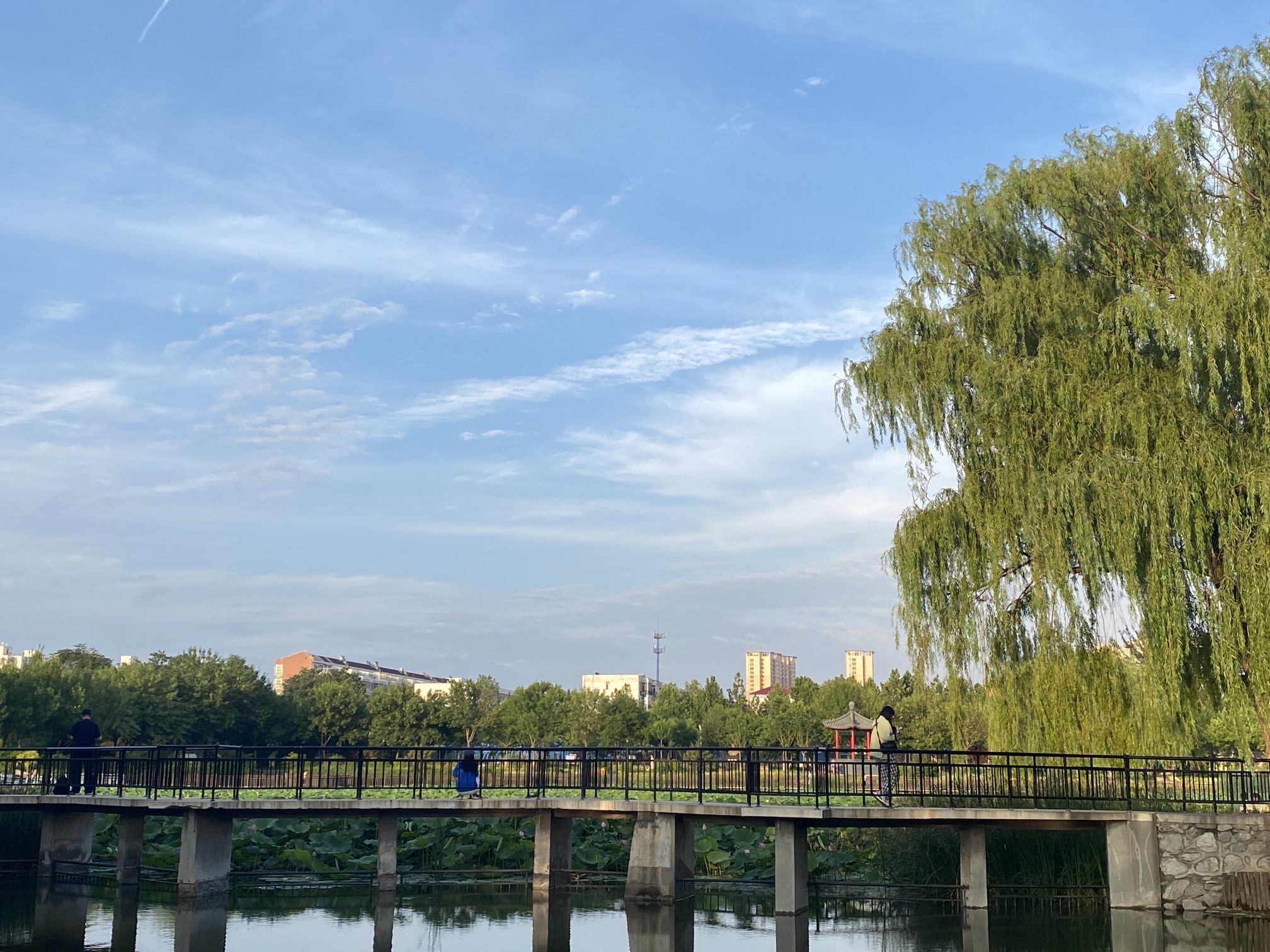 人民公园旅行图片 1