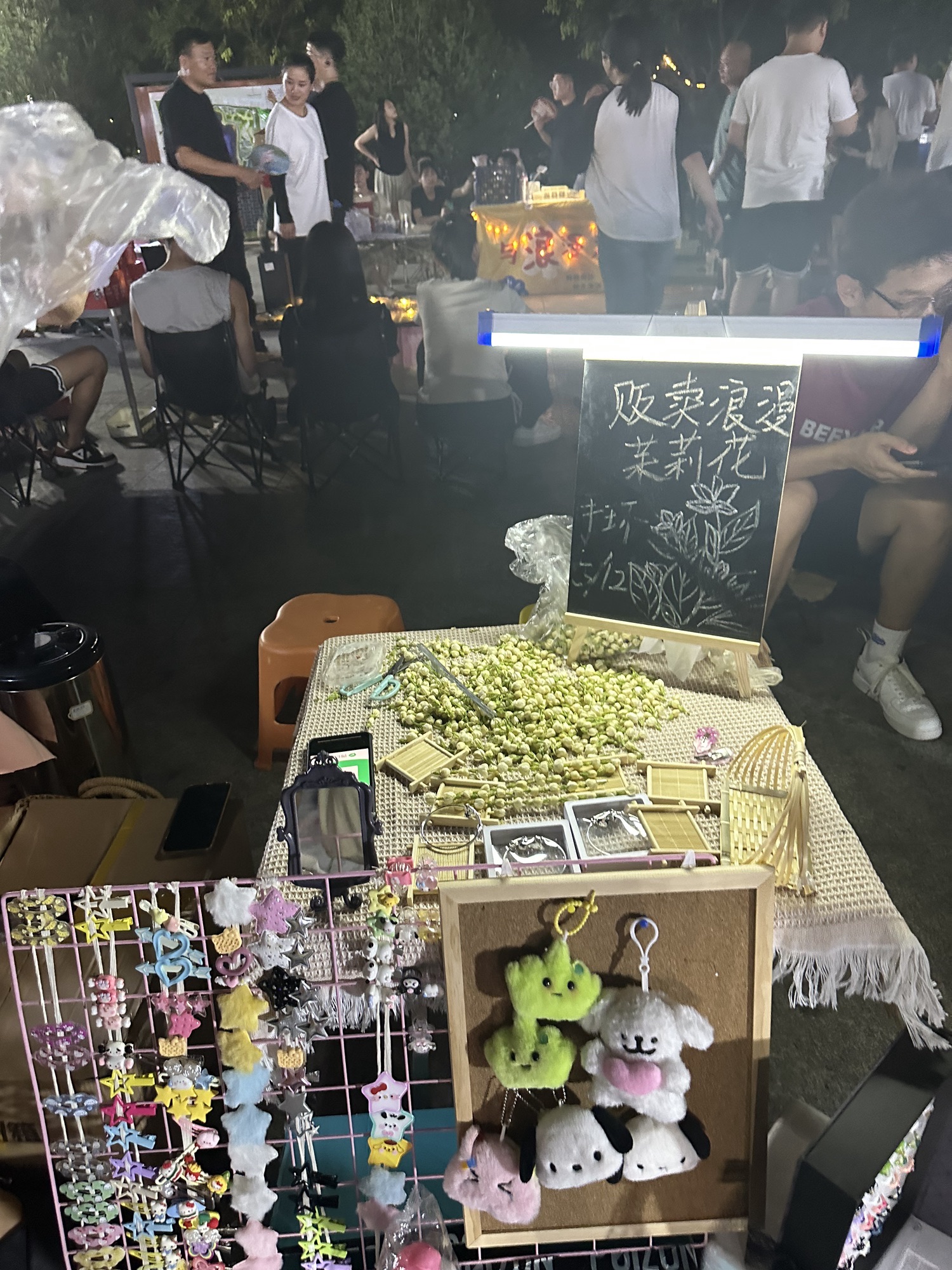 人民公园旅行图片 2