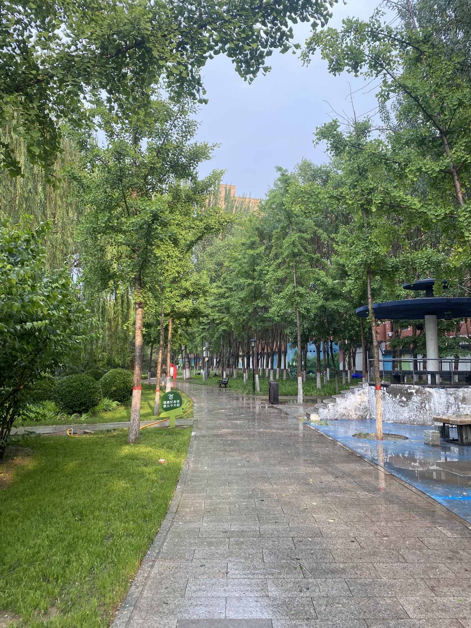 人民公园旅行图片 3