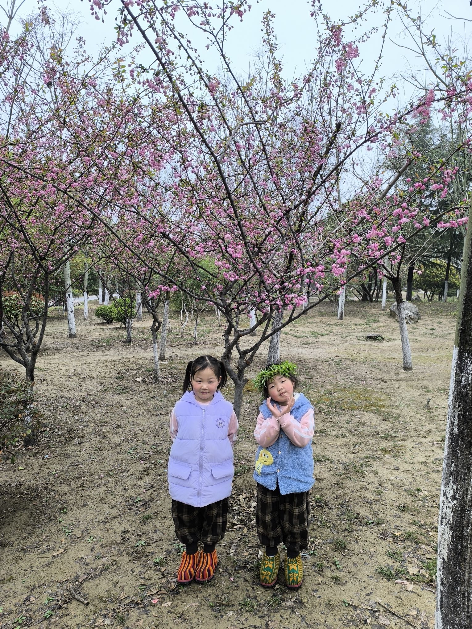 城南公园旅行图片 3