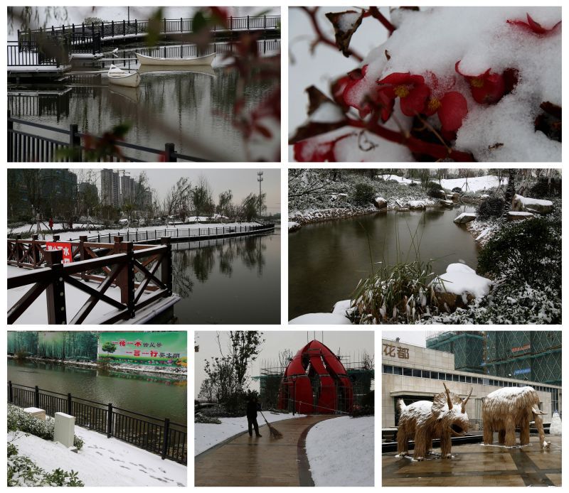 城南公园旅行图片 3