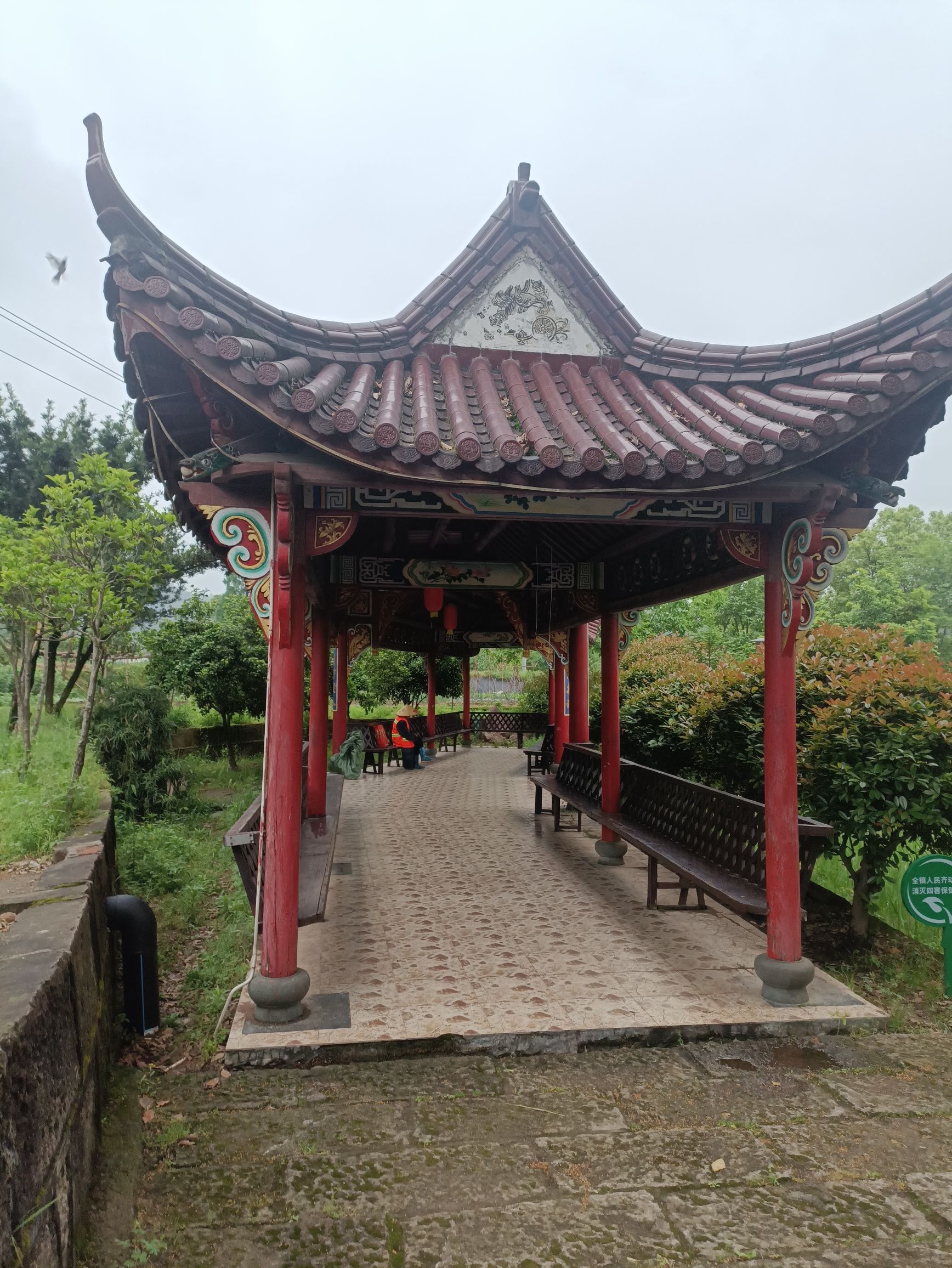 平顶山森林公园旅行图片 2