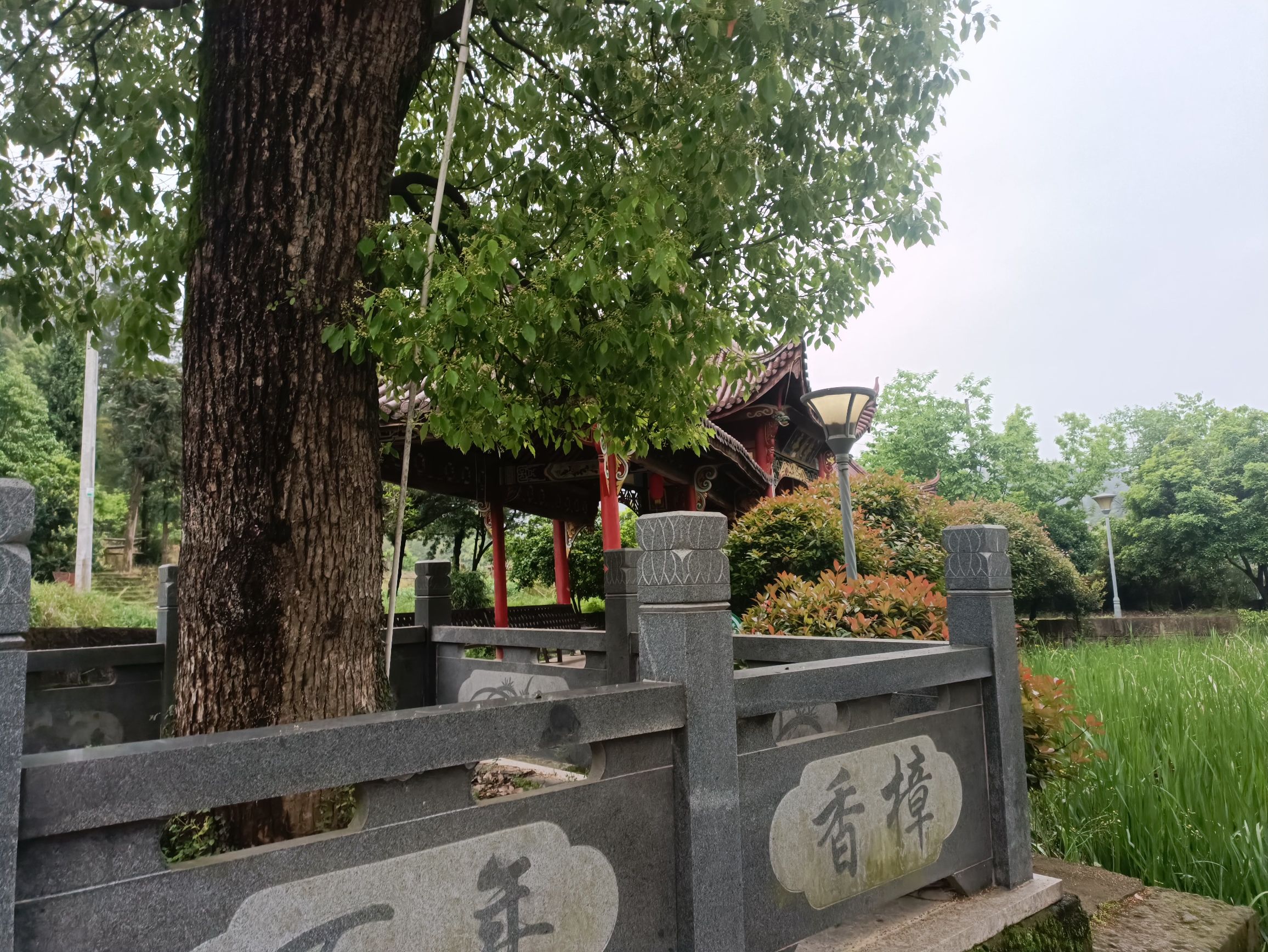 平顶山森林公园旅行图片 3