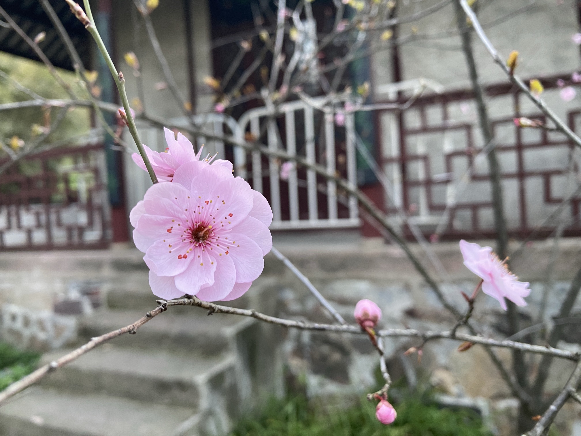南通狼山风景名胜区-謇园