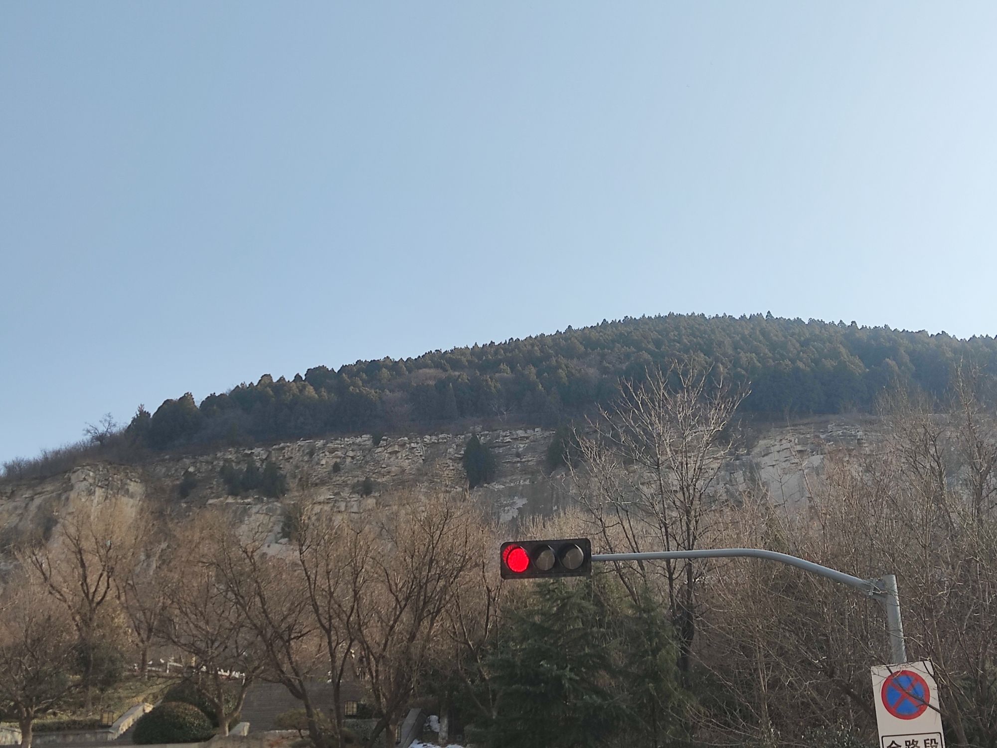 领秀城森林公园旅行图片 3