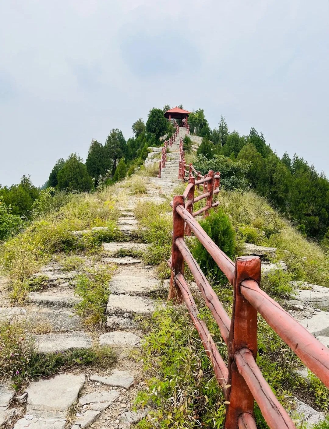 领秀城森林公园旅行图片 2