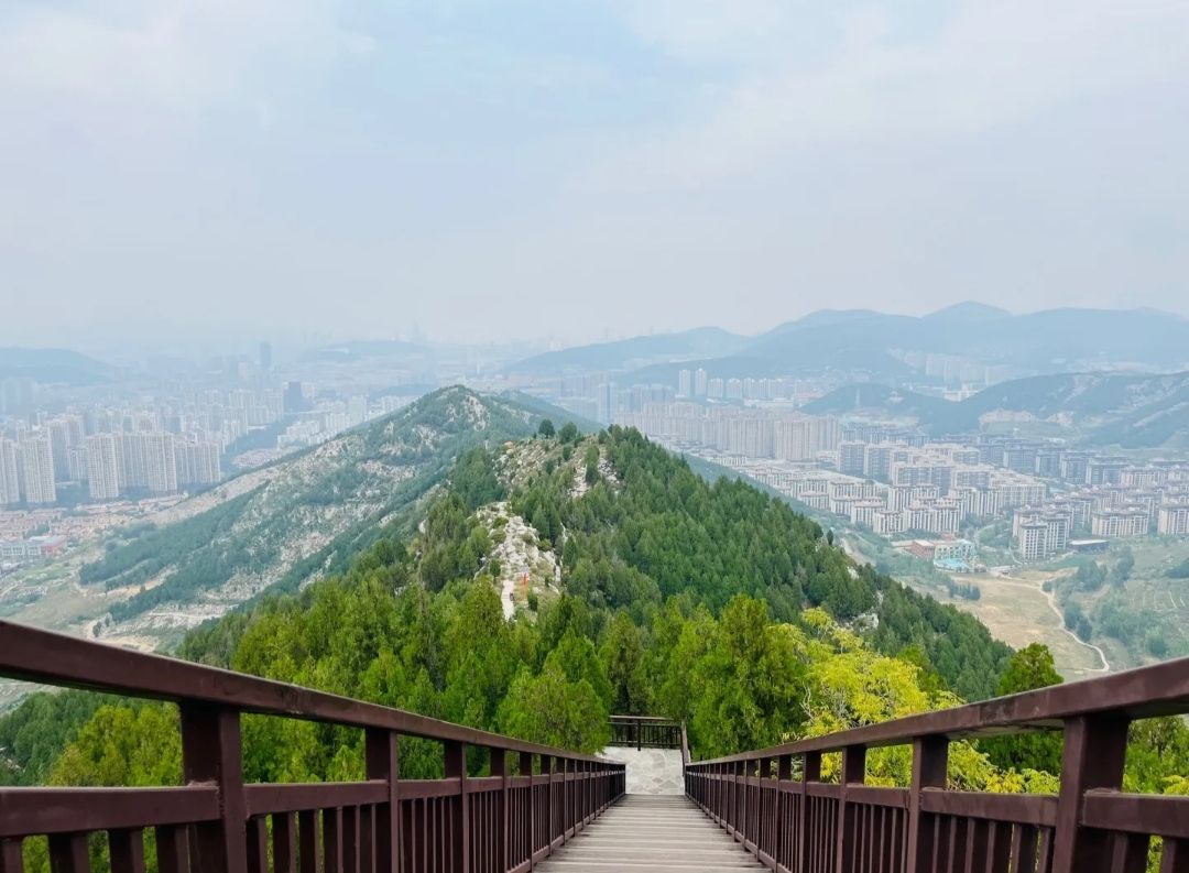 领秀城森林公园旅行图片 1