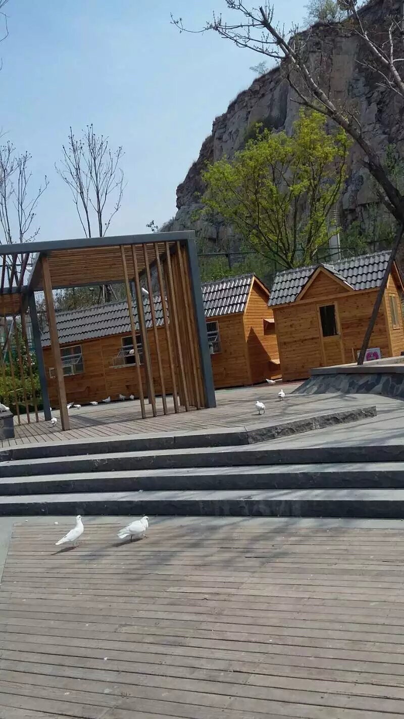 领秀城森林公园旅行图片 2