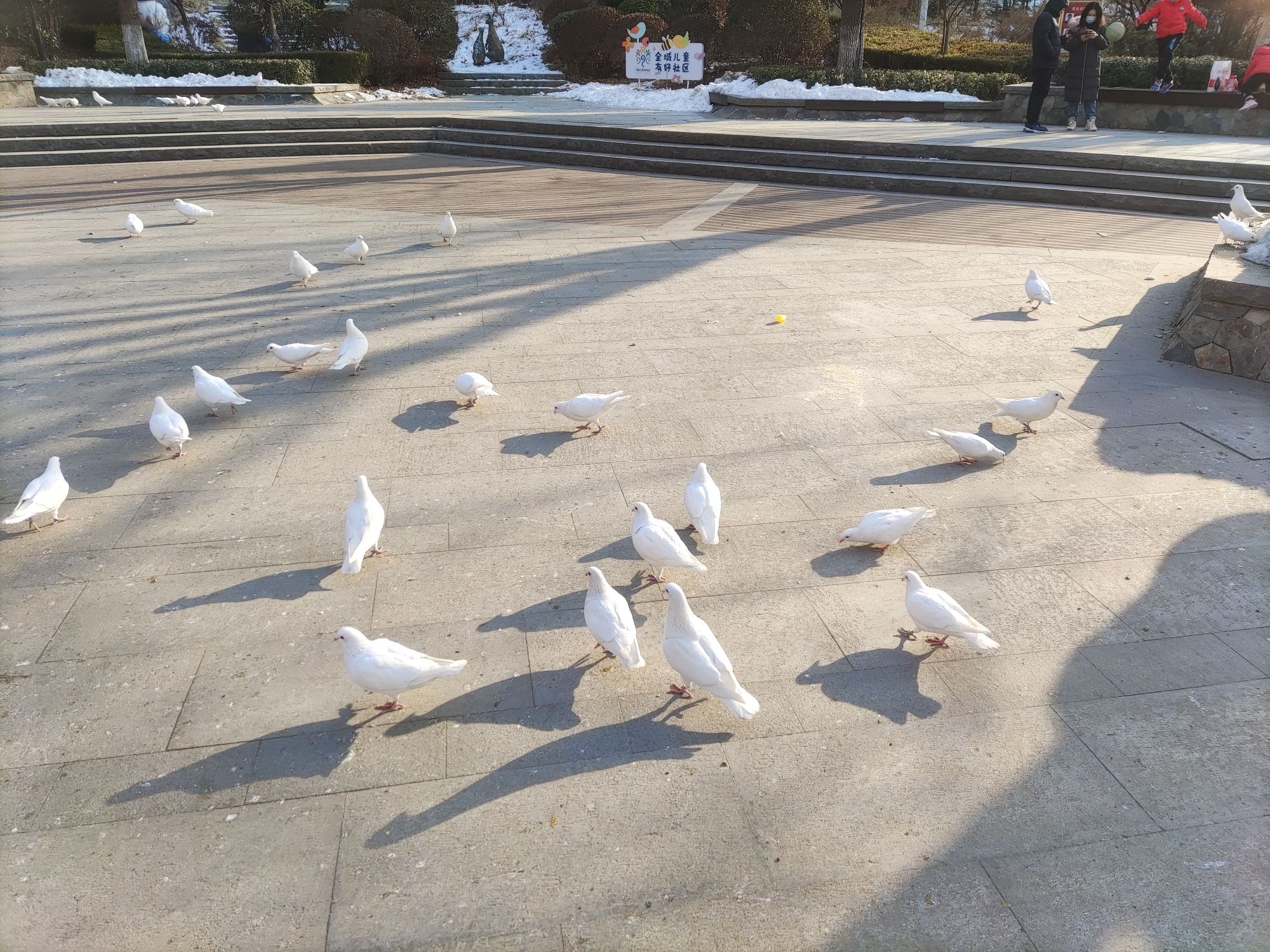 领秀城森林公园旅行图片 2