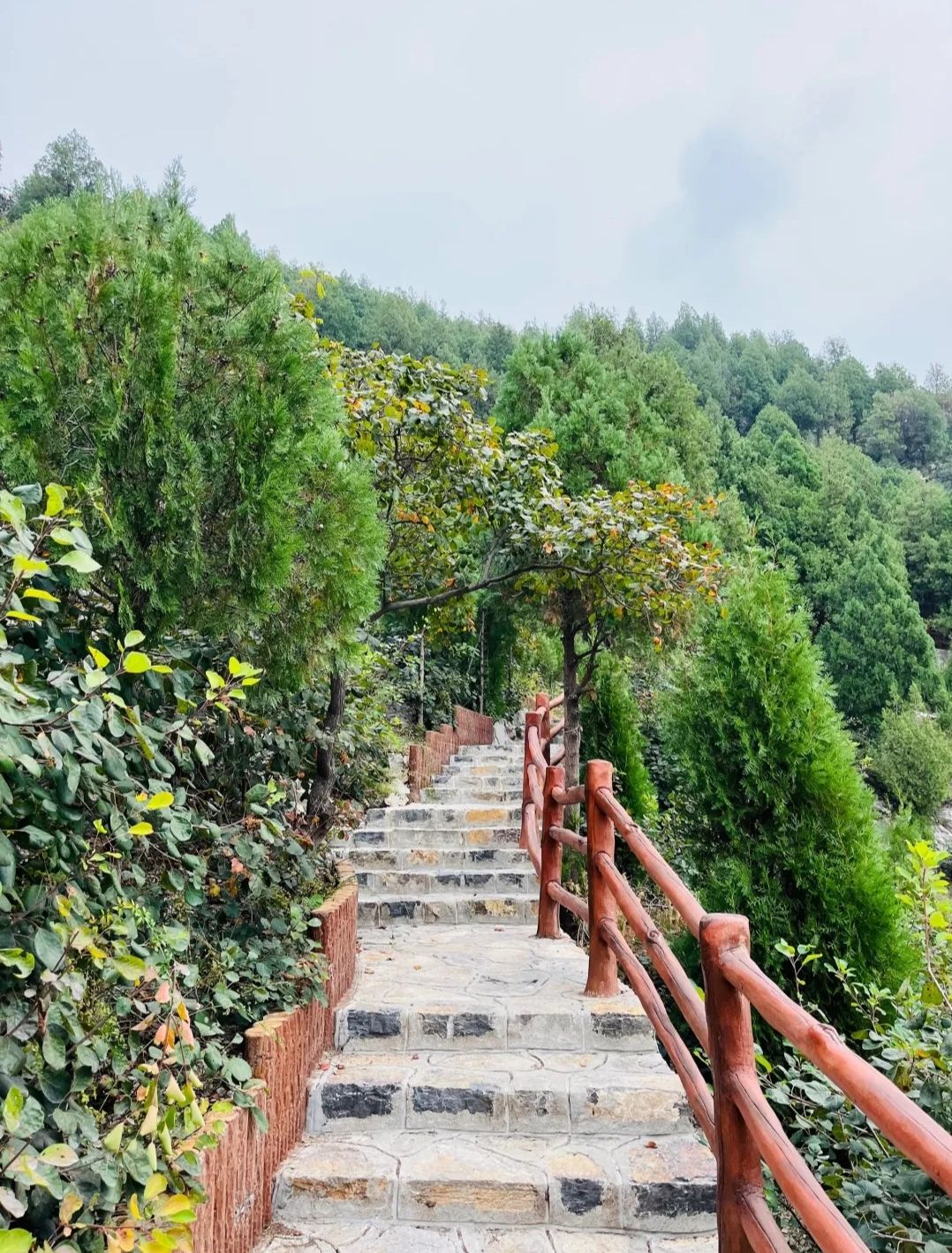领秀城森林公园旅行图片 3
