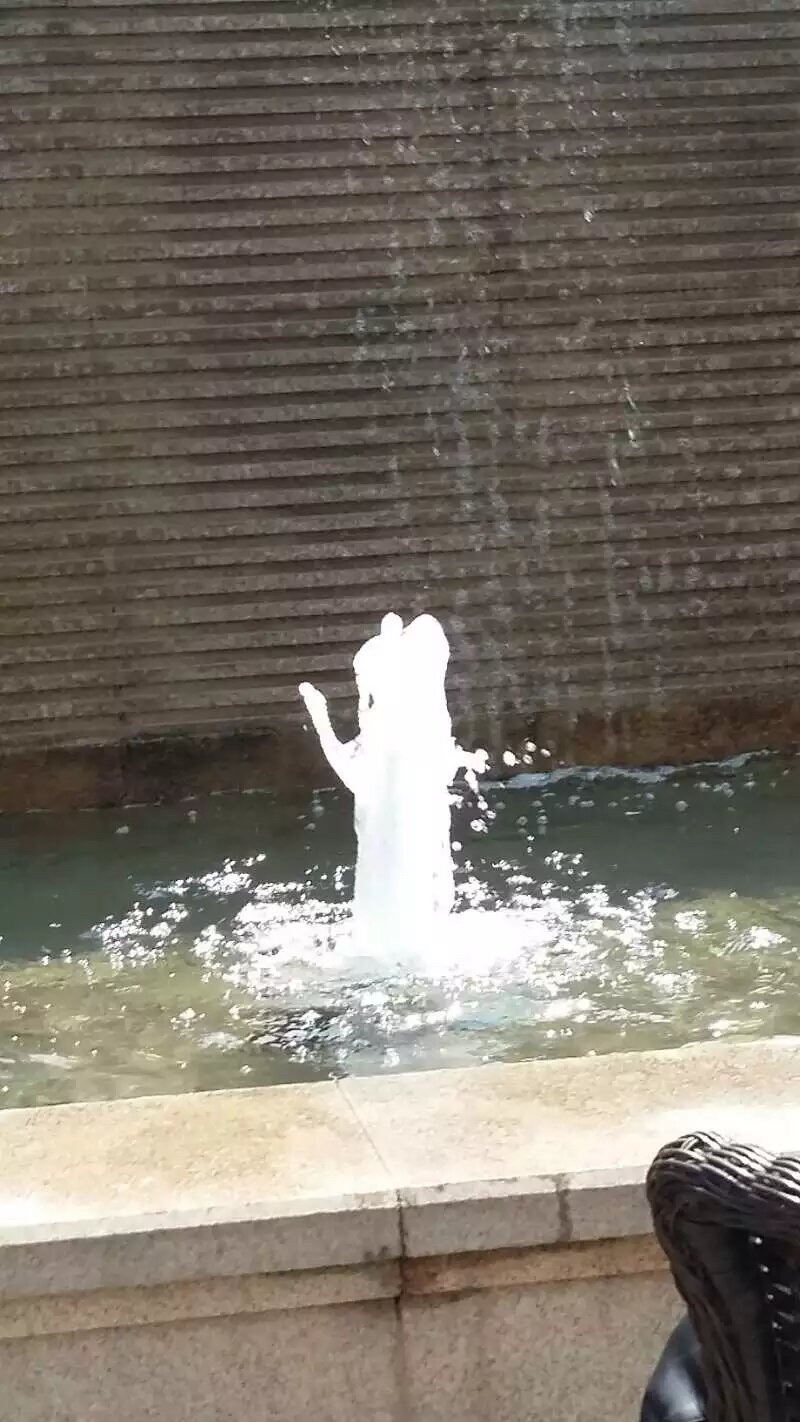 领秀城森林公园旅行图片 3