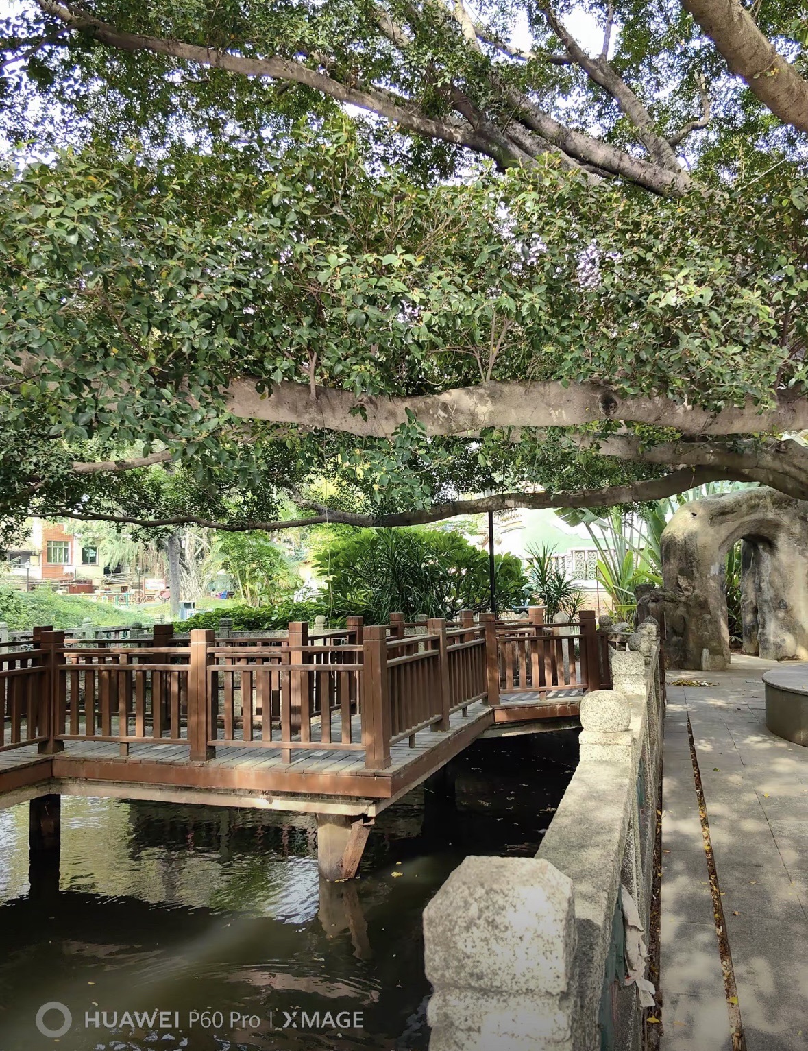 月港公园旅行图片 1