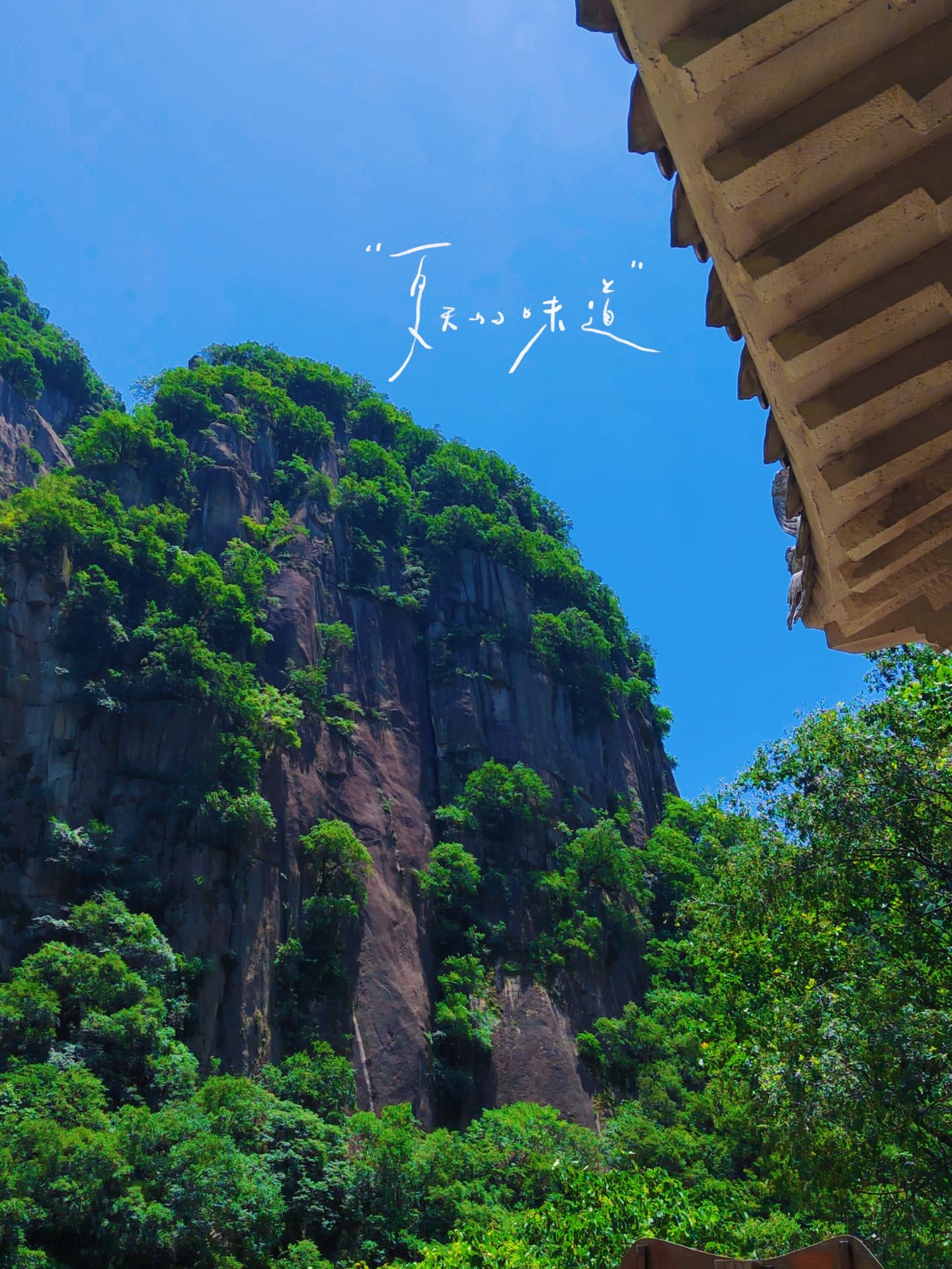 神灵寨国家森林公园(暂停开放)旅行图片 2
