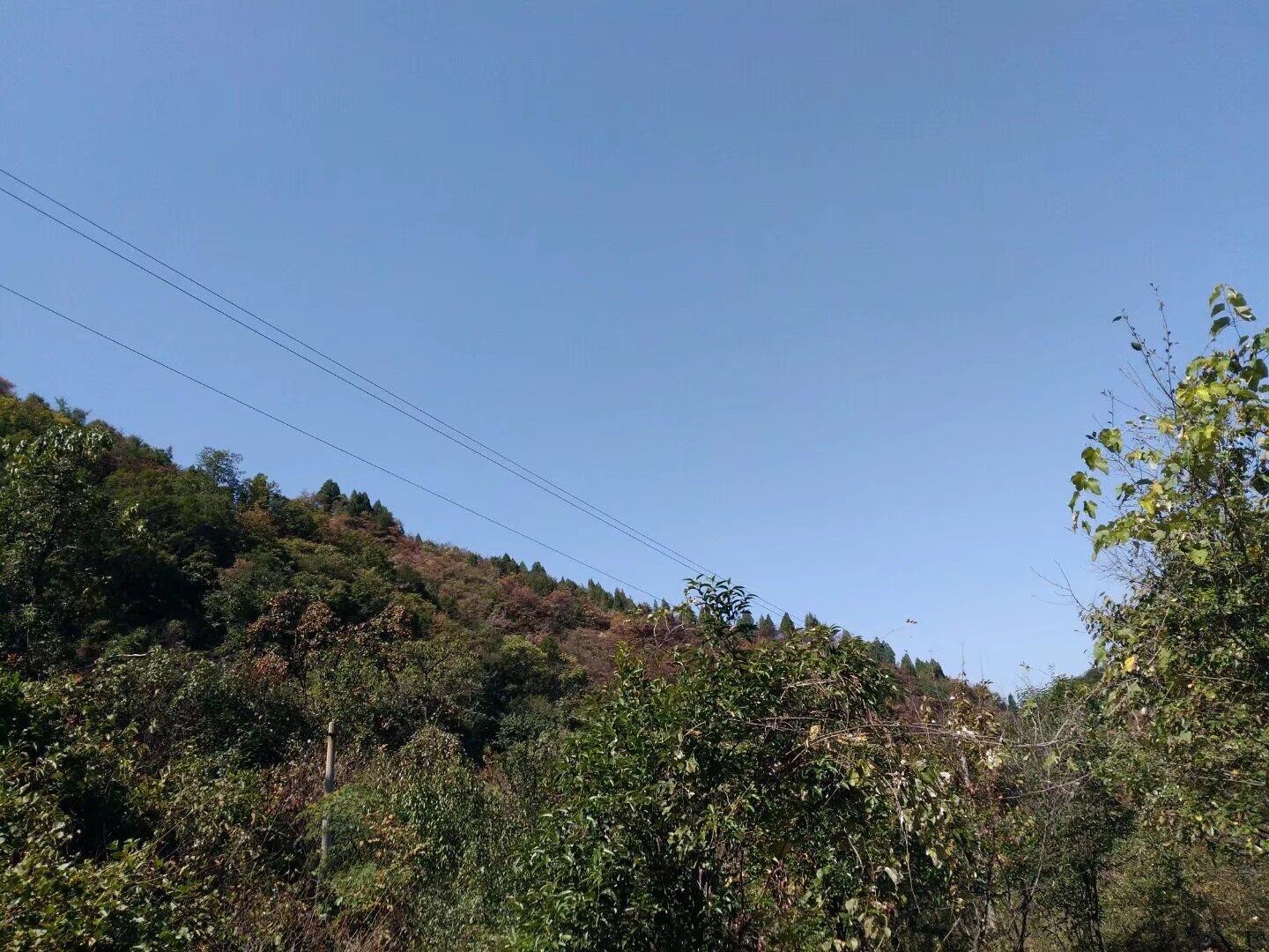 神灵寨国家森林公园(暂停开放)旅行图片 3