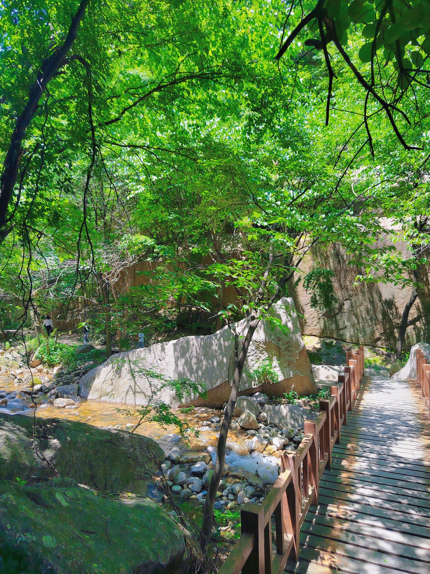 神灵寨国家森林公园(暂停开放)旅行图片 3