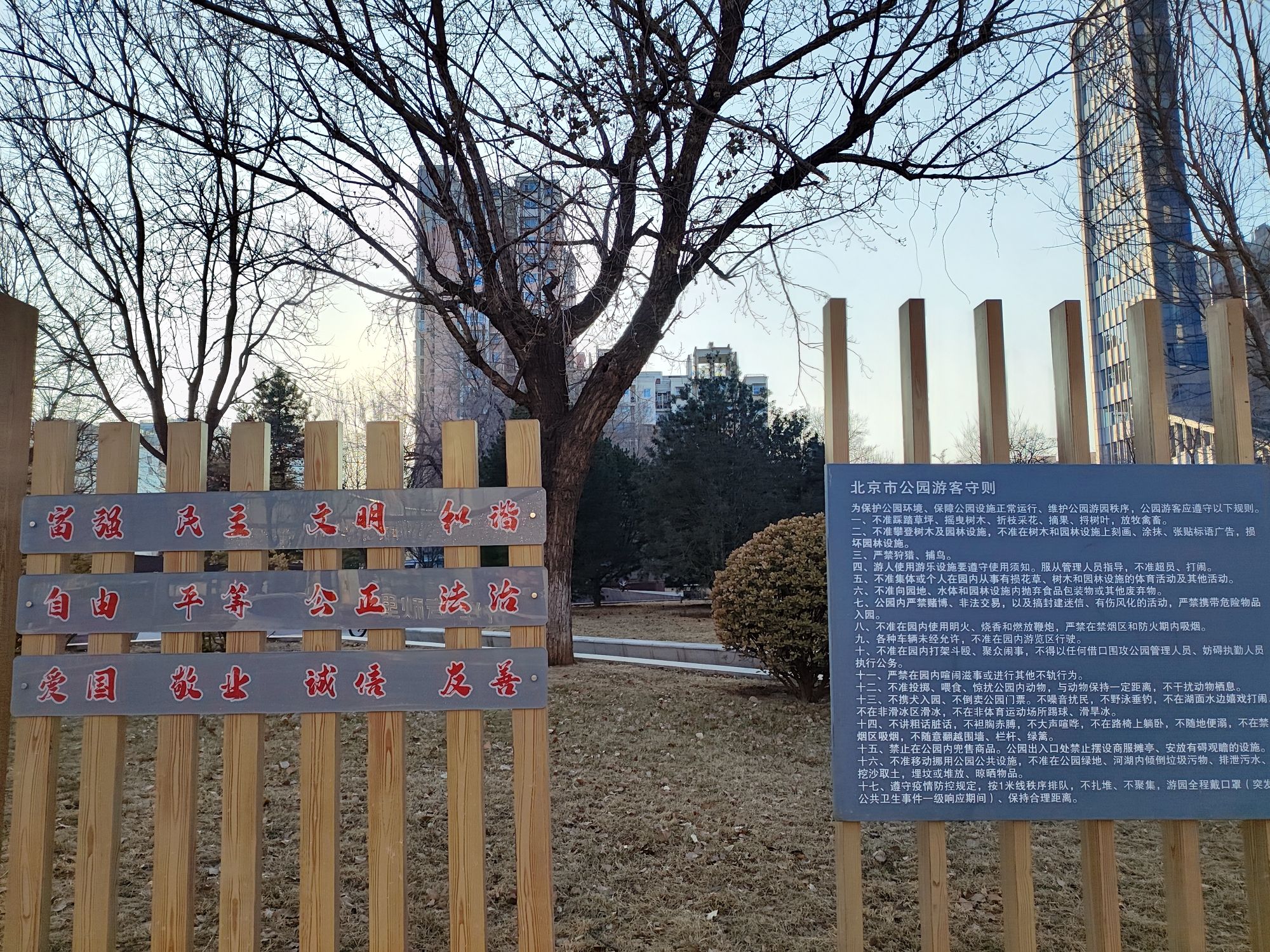 苹果园公园旅行图片 1