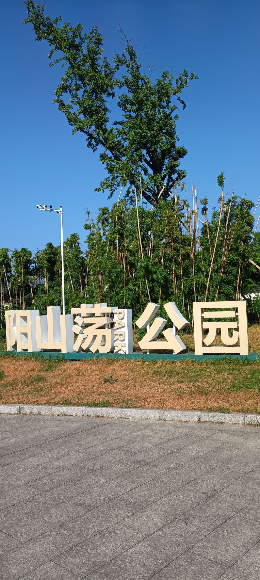 阳山荡公园旅行图片 1