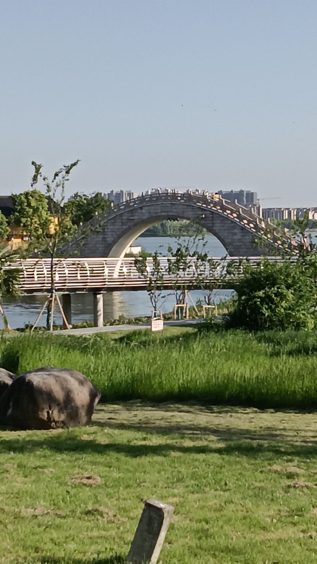 阳山荡公园旅行图片 1