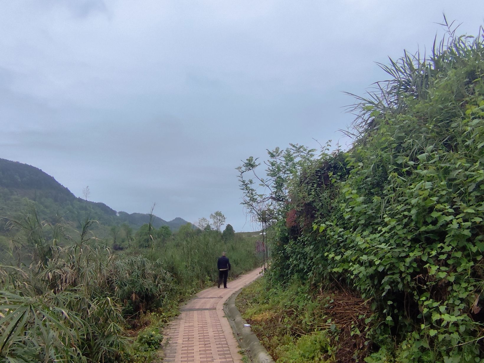 水天池景区旅行图片 2