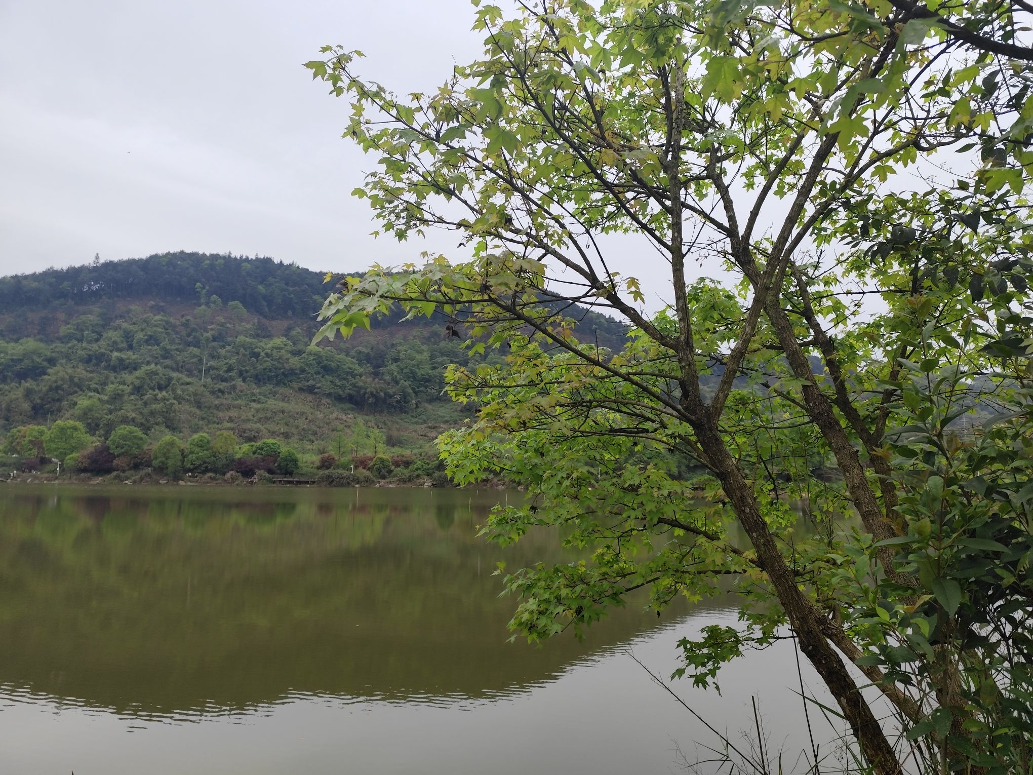 水天池景区旅行图片 3