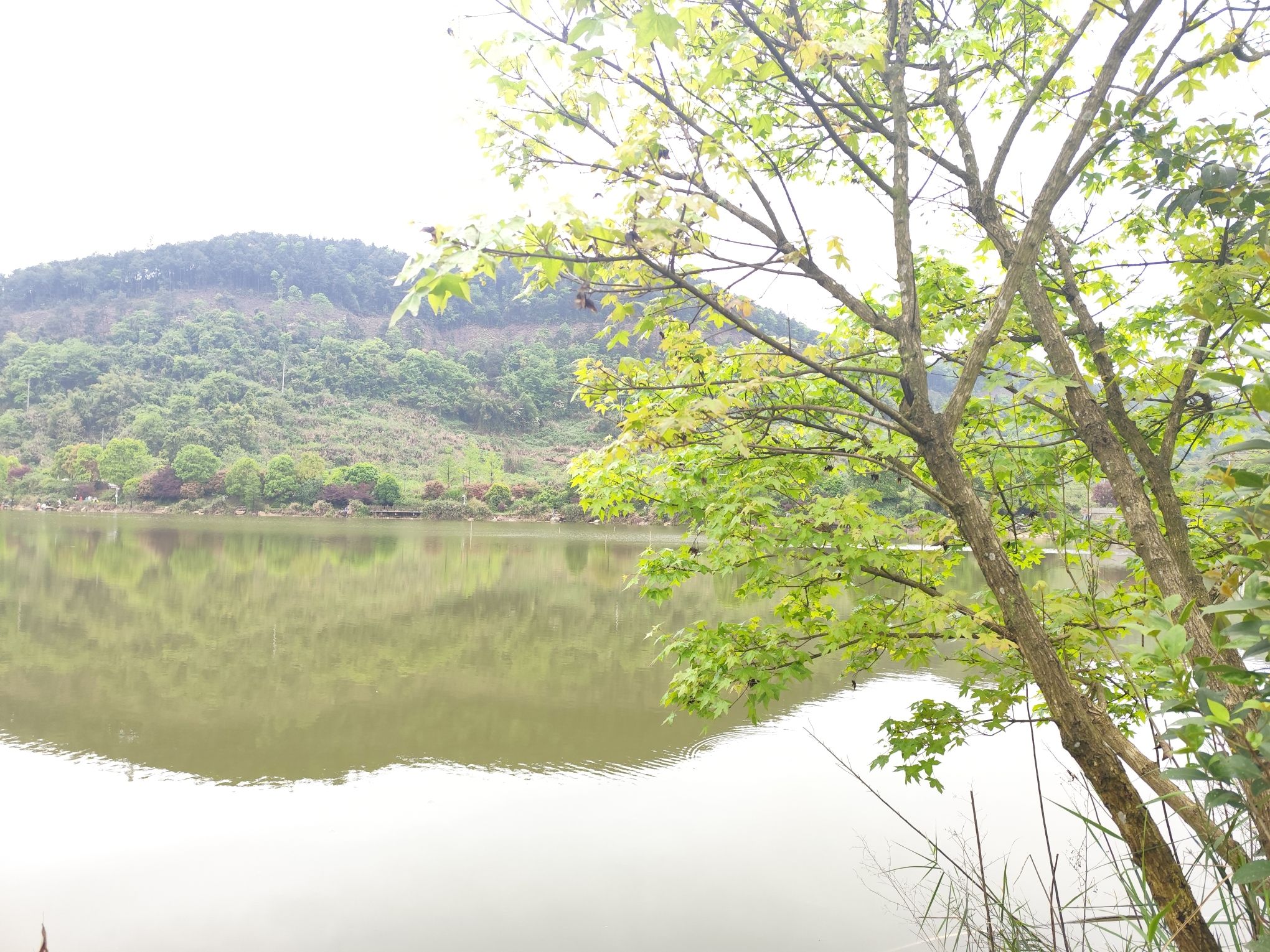 水天池景区旅行图片 1