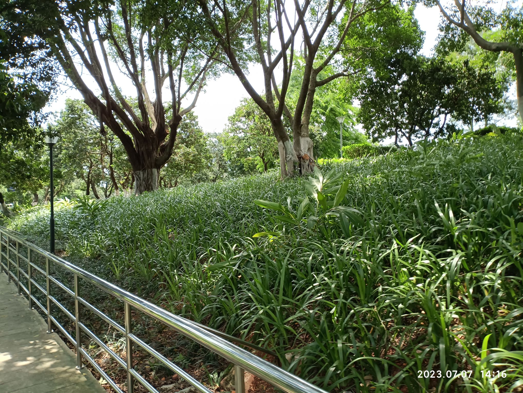 北流市花果山公园旅行图片 3