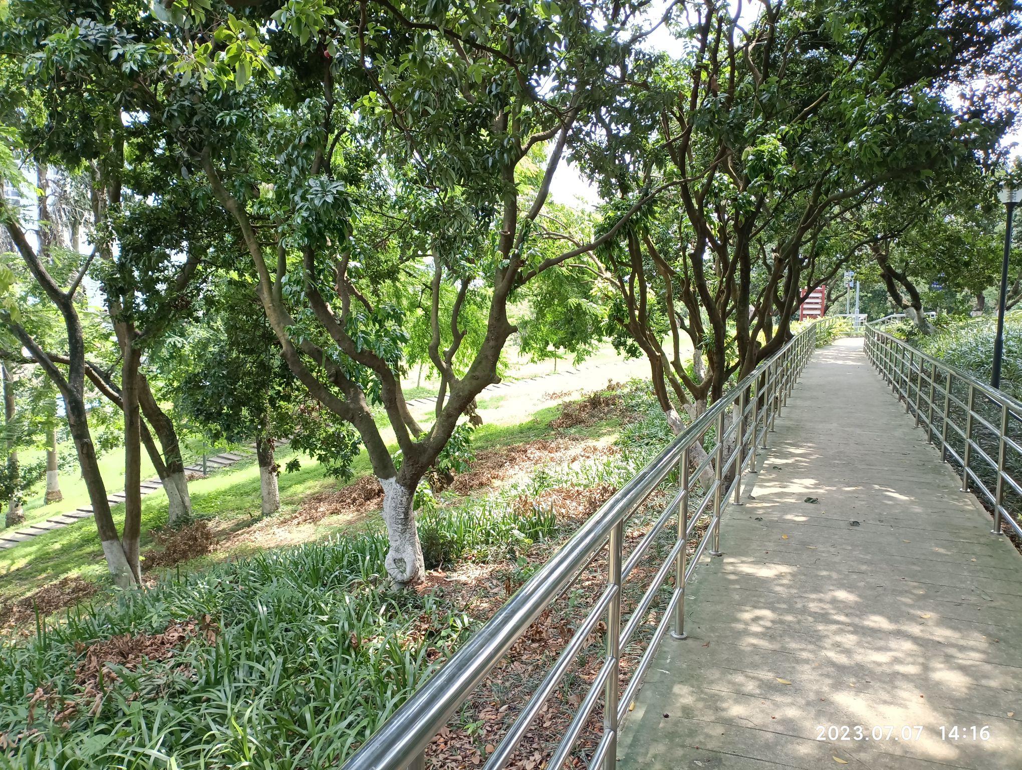 北流市花果山公园旅行图片 2
