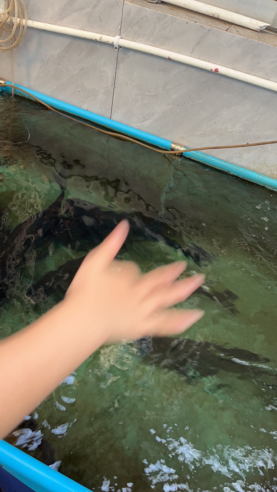 赋石水库(不对外开放)旅行图片 2