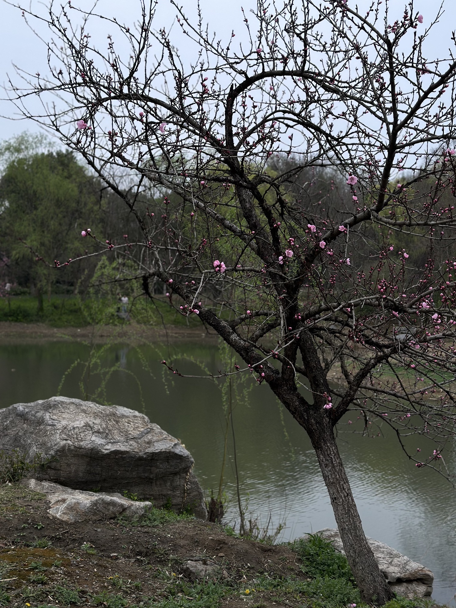 南山风景区旅行图片 1