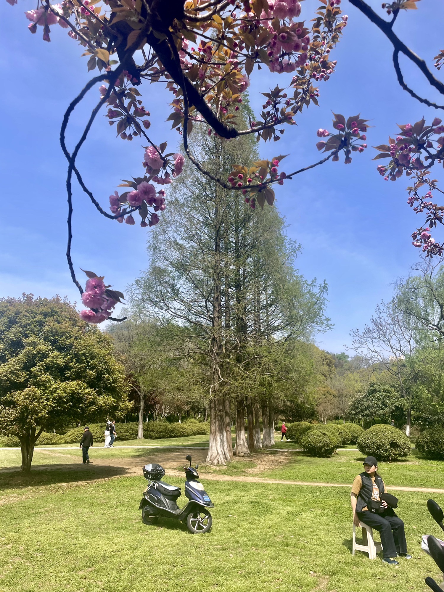 南山风景区旅行图片 2