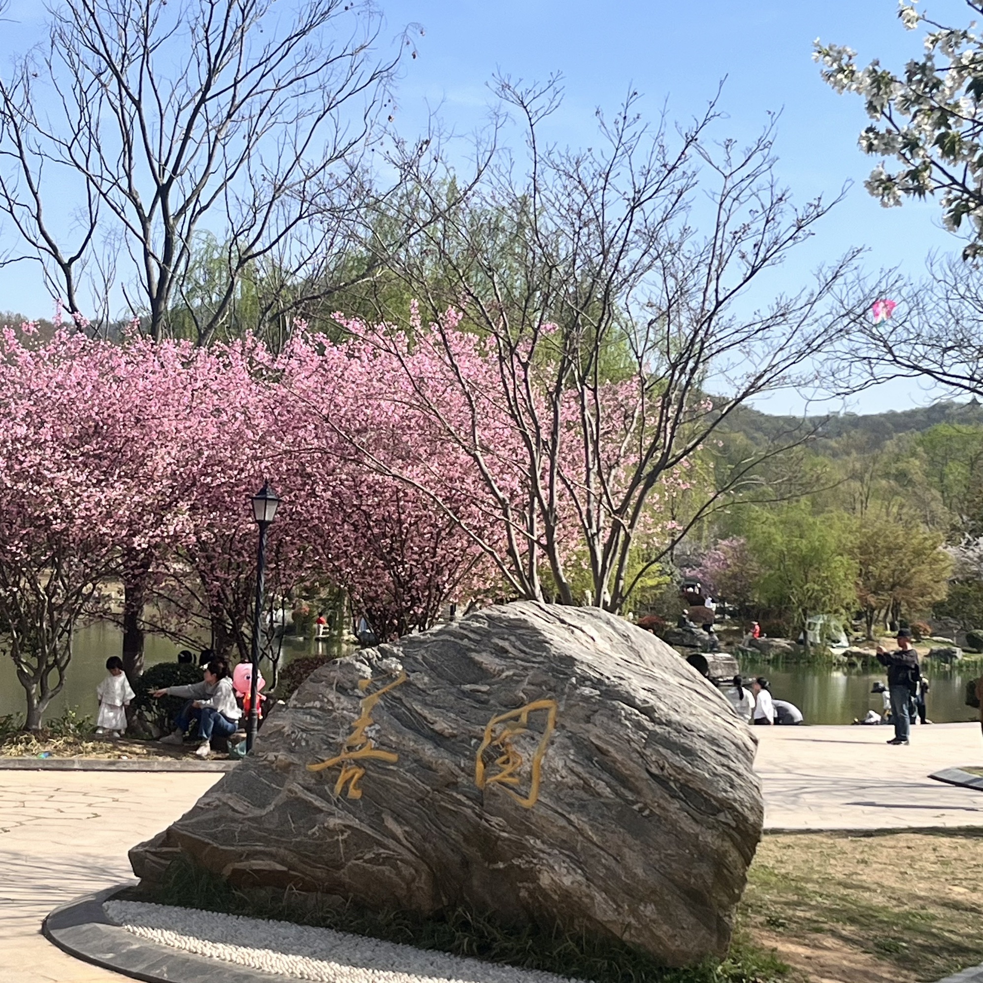 南山风景区旅行图片 2