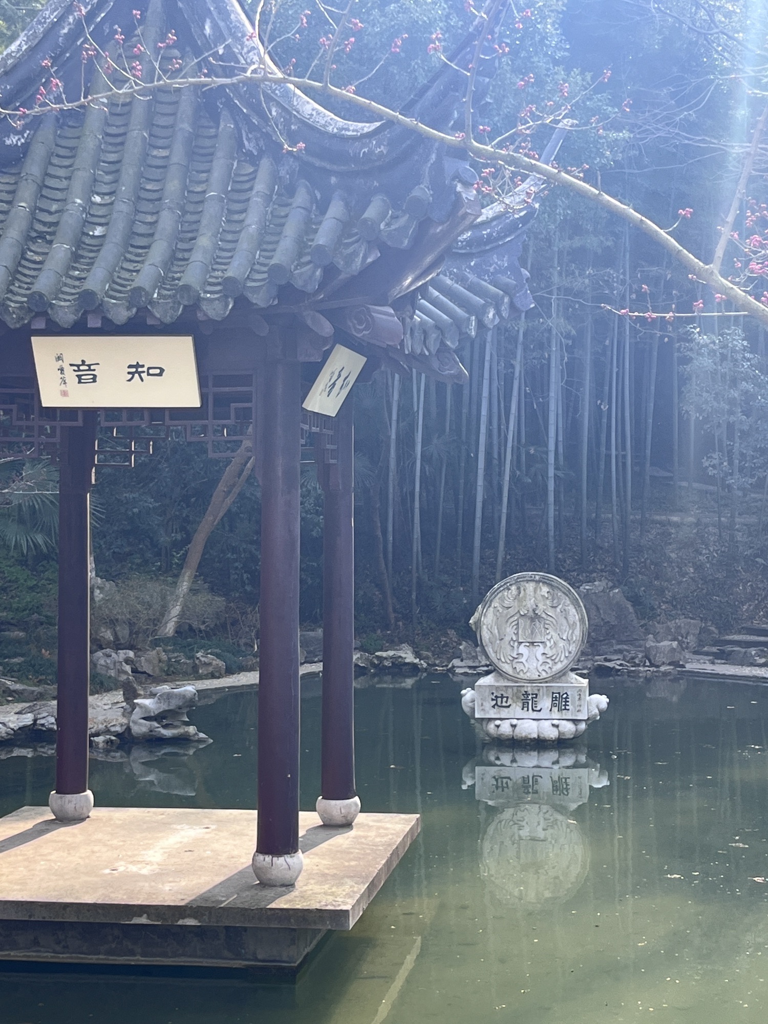 南山风景区旅行图片 2