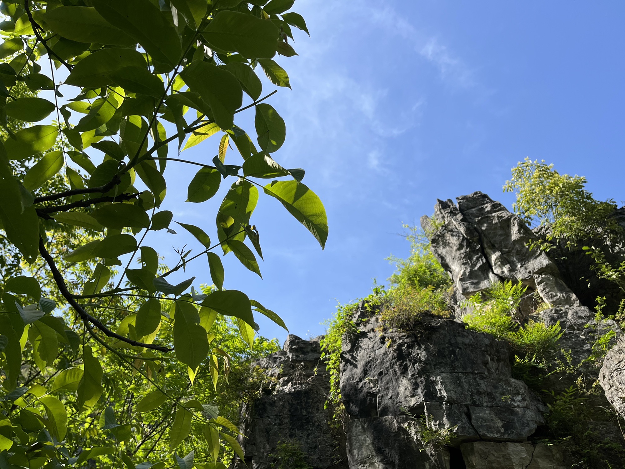 龙骨坡古猿人遗址旅行图片 3