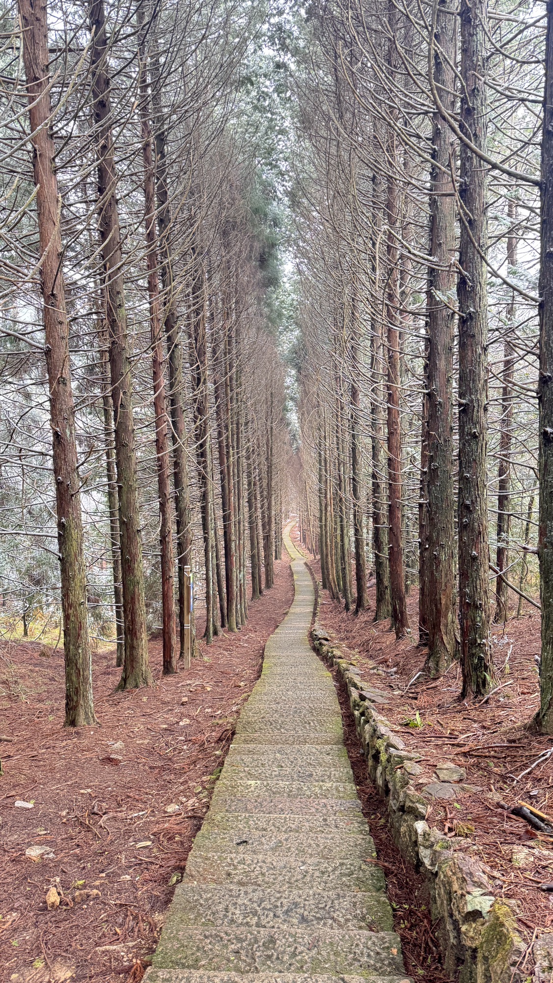 龙泉山景区-黄茅尖景区