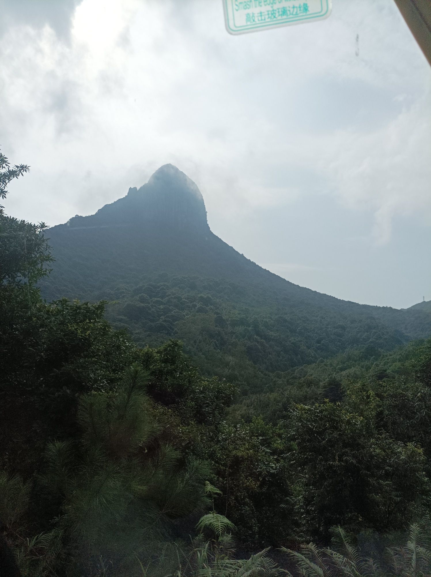 天龙顶国家山地公园旅行图片 3