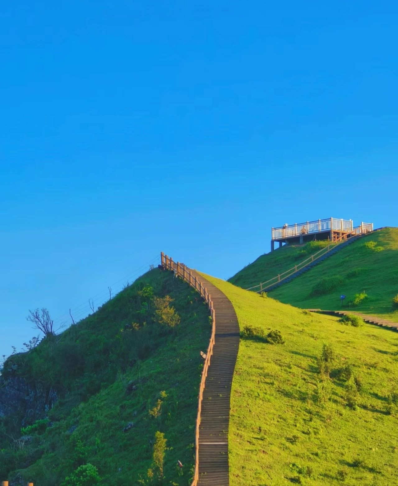 天龙顶国家山地公园旅行图片 3