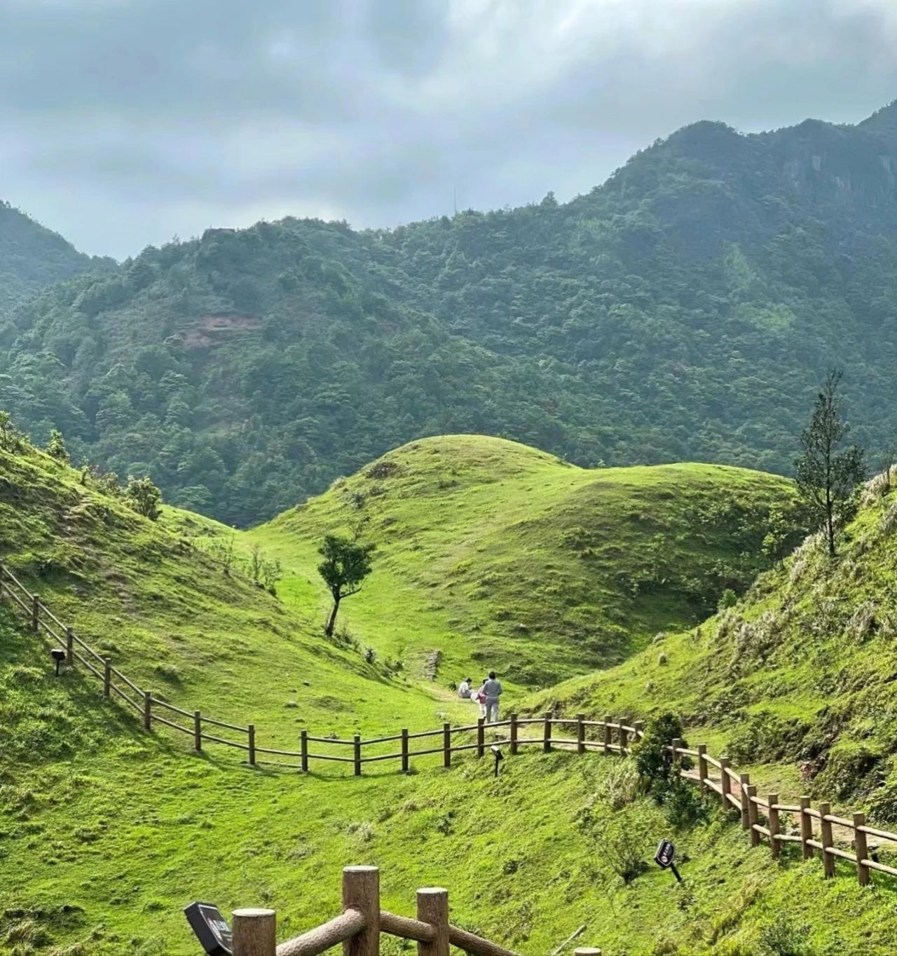 天龙顶国家山地公园旅行图片 2
