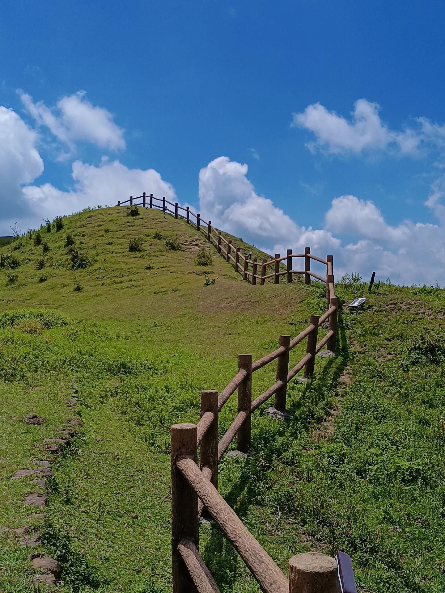 天龙顶国家山地公园旅行图片 3