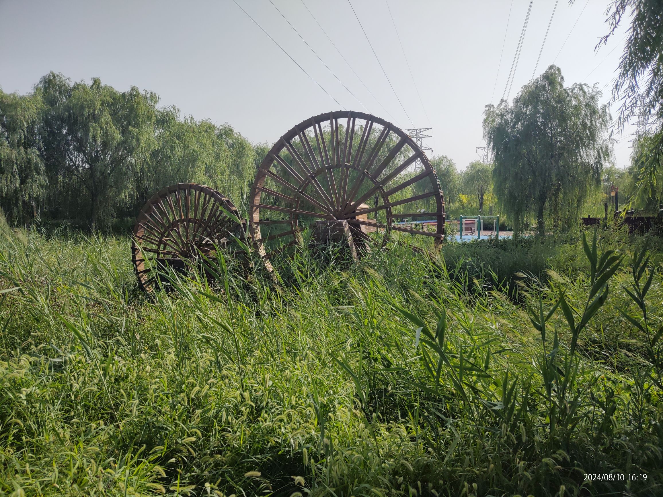 北辰郊野公园旅行图片 2