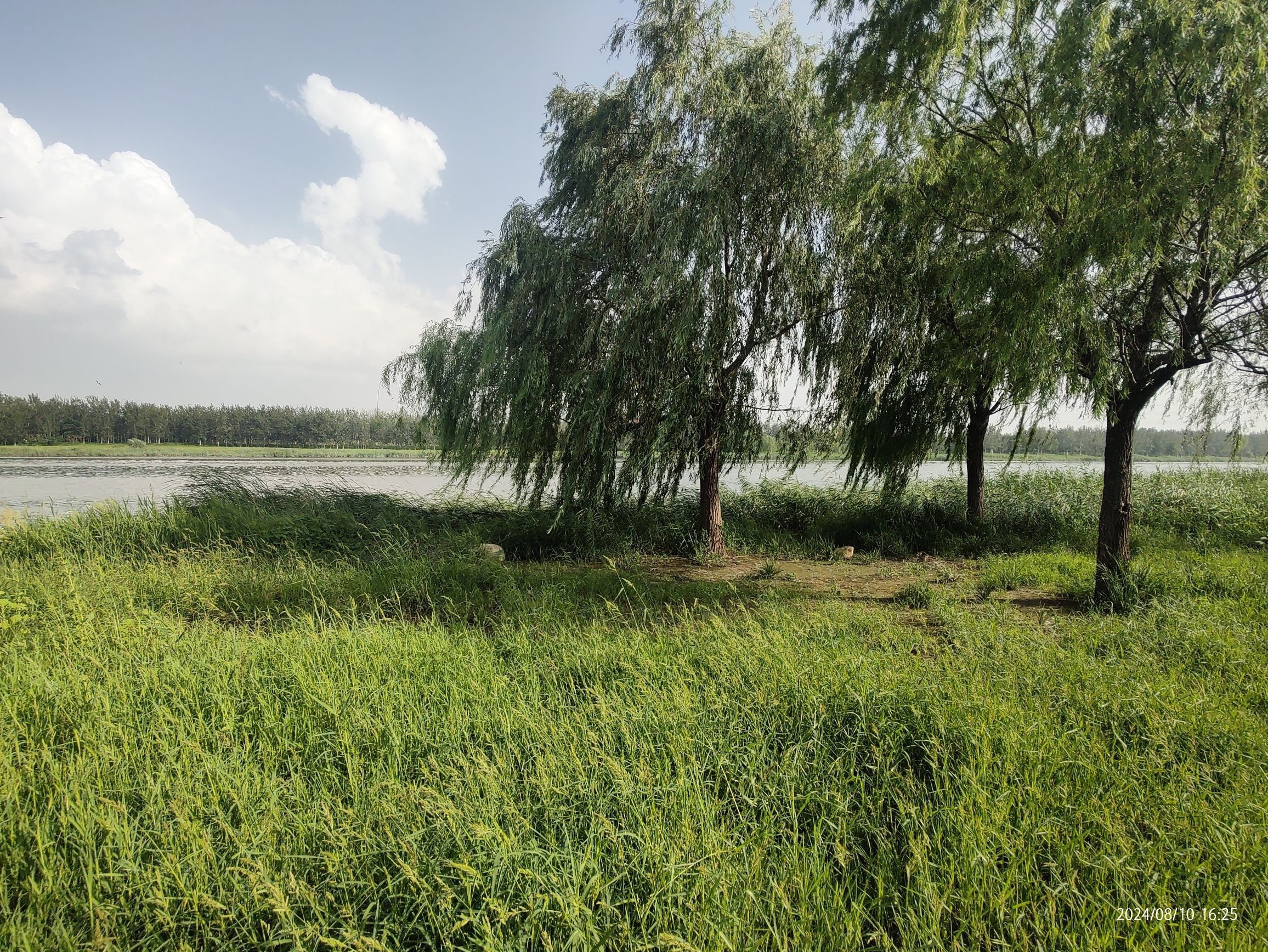 北辰郊野公园旅行图片 1