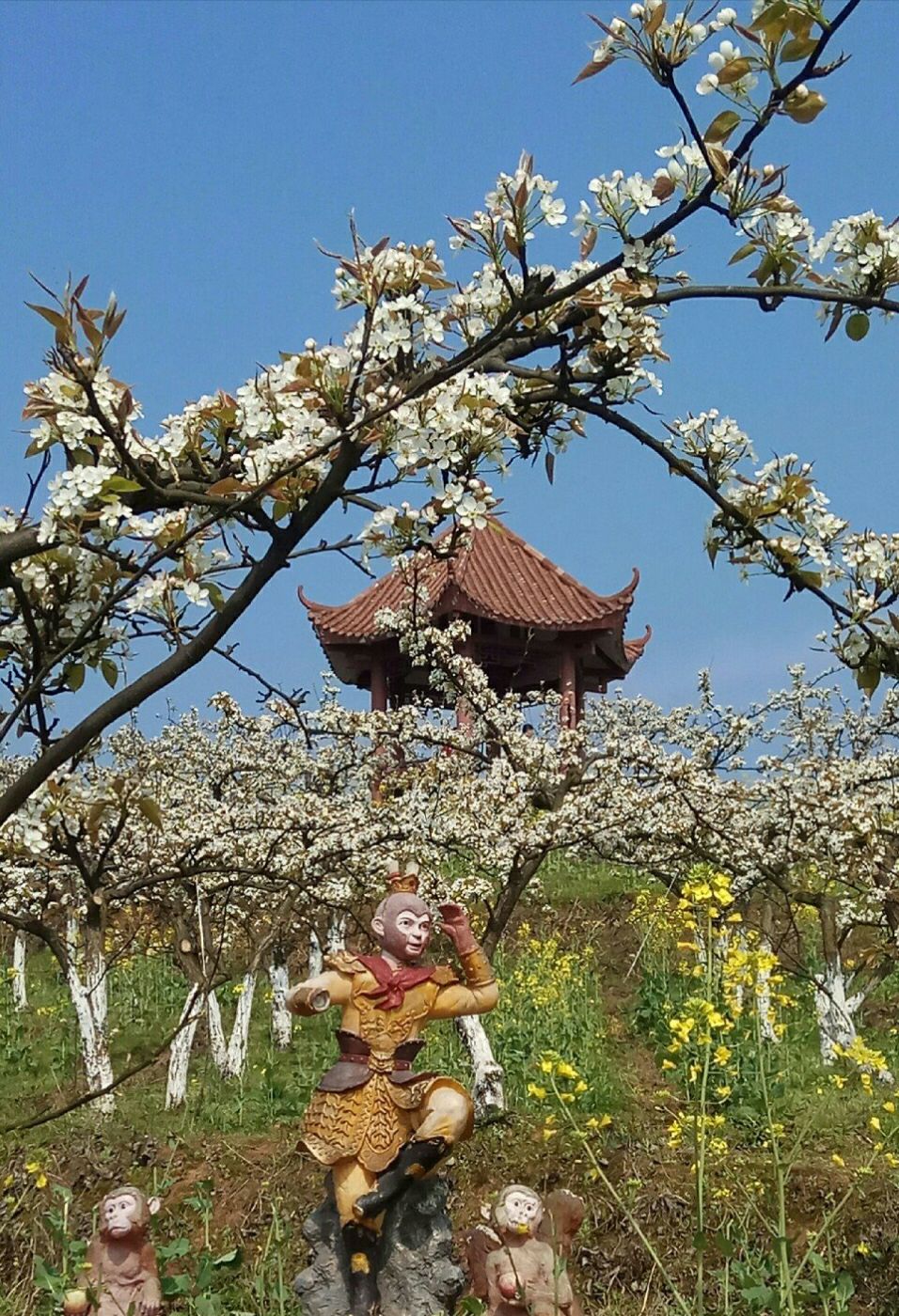 永新镇梨花山国家AAA旅游风景区旅行图片 1
