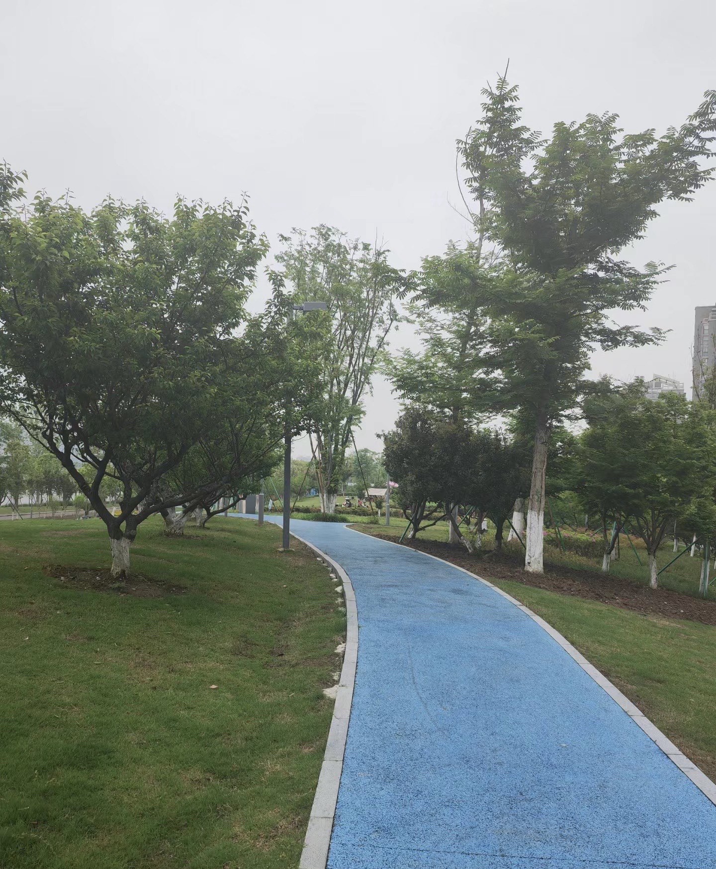 姚江公园旅行图片 2